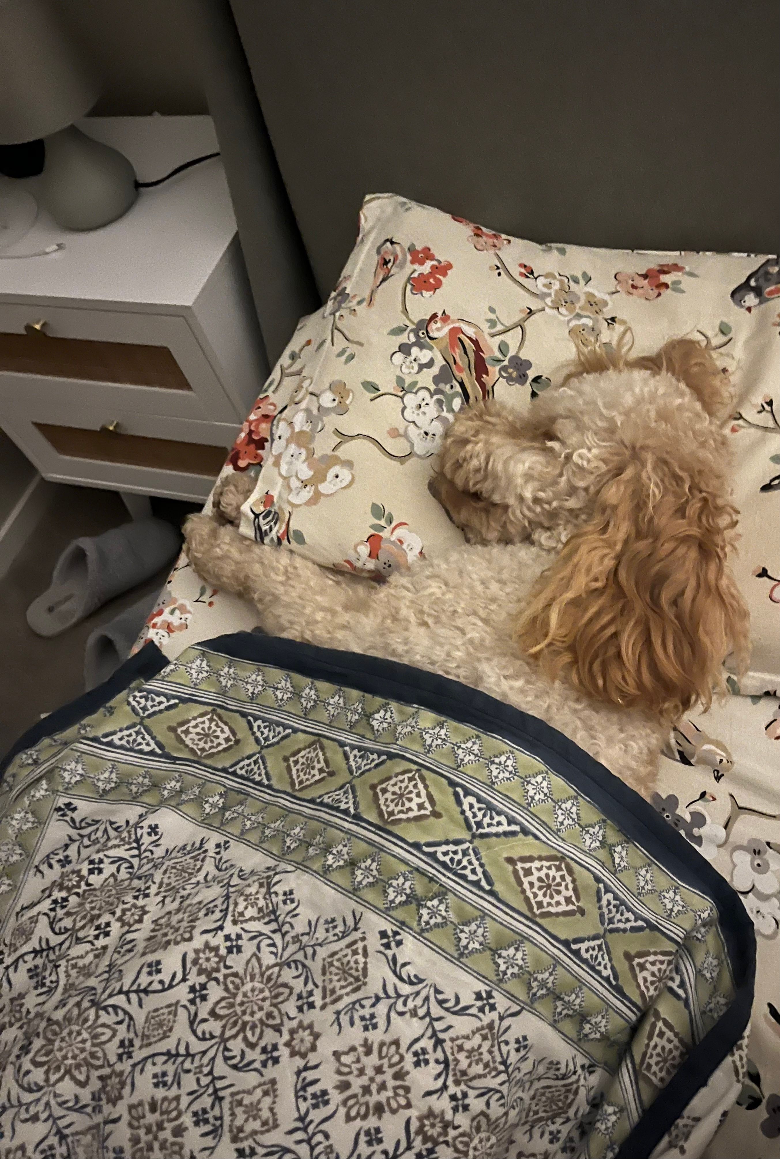 image-15
