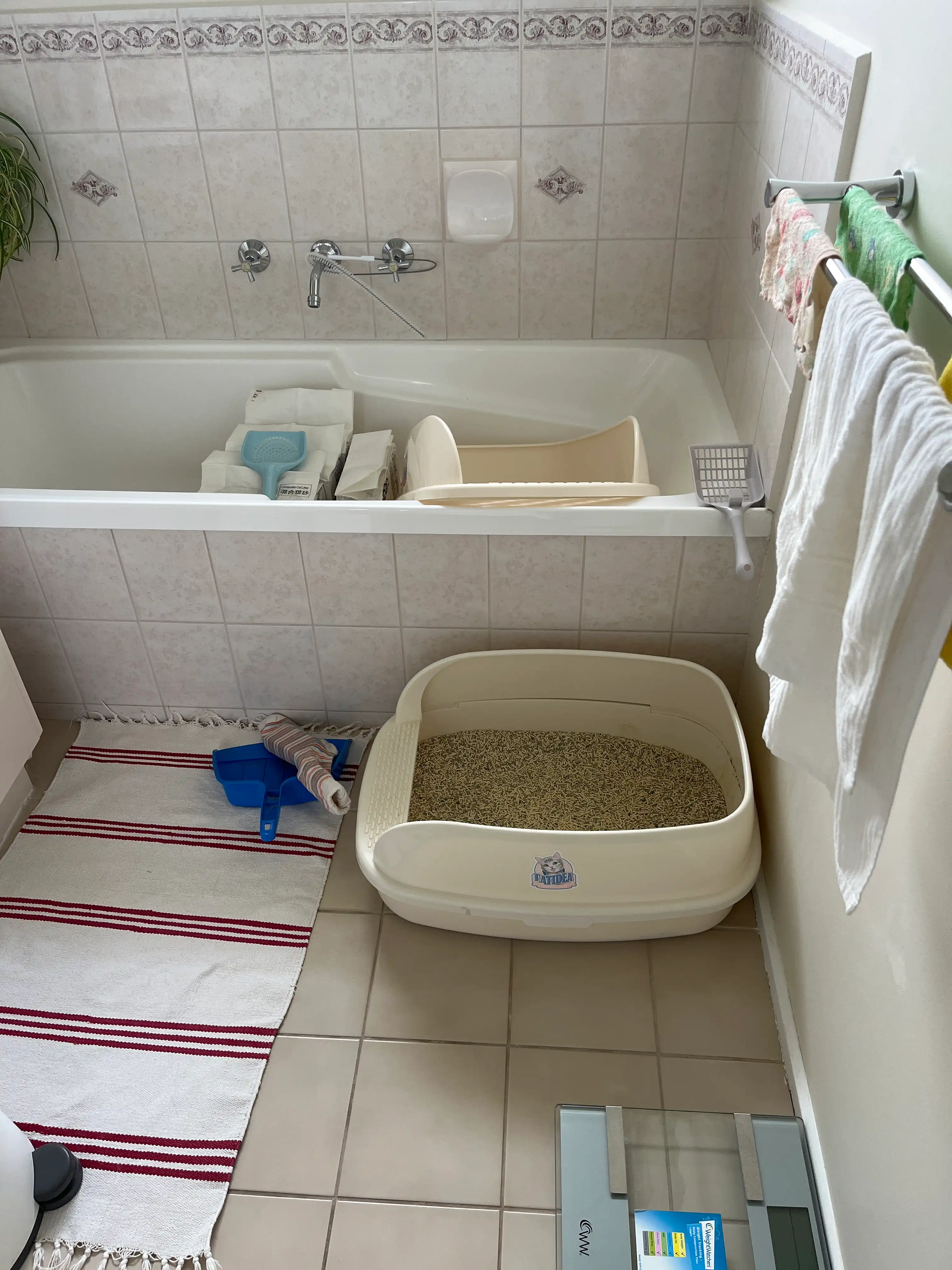 image-6