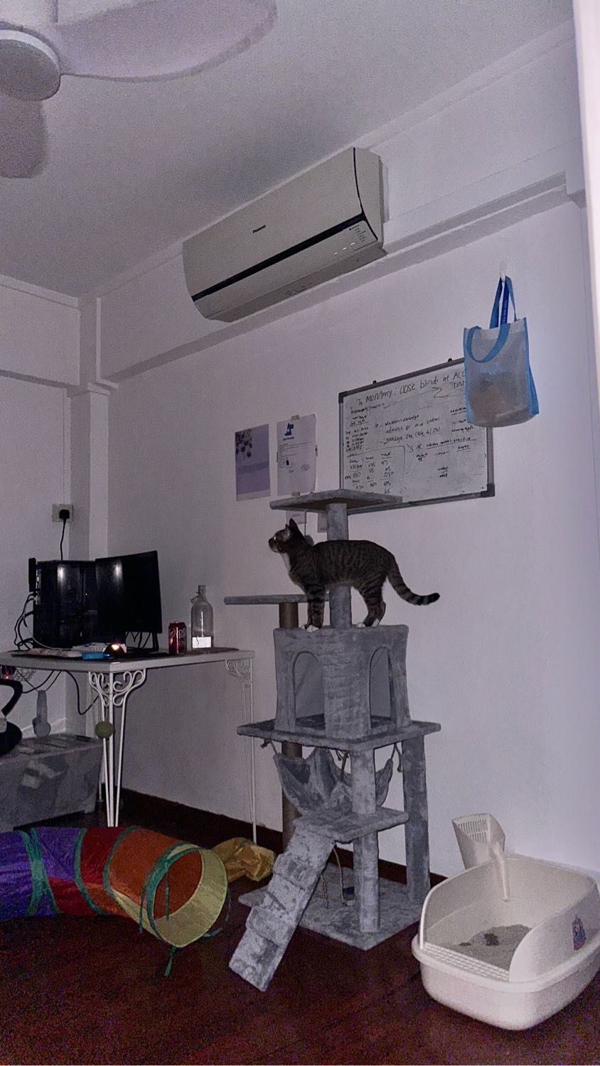 image-5