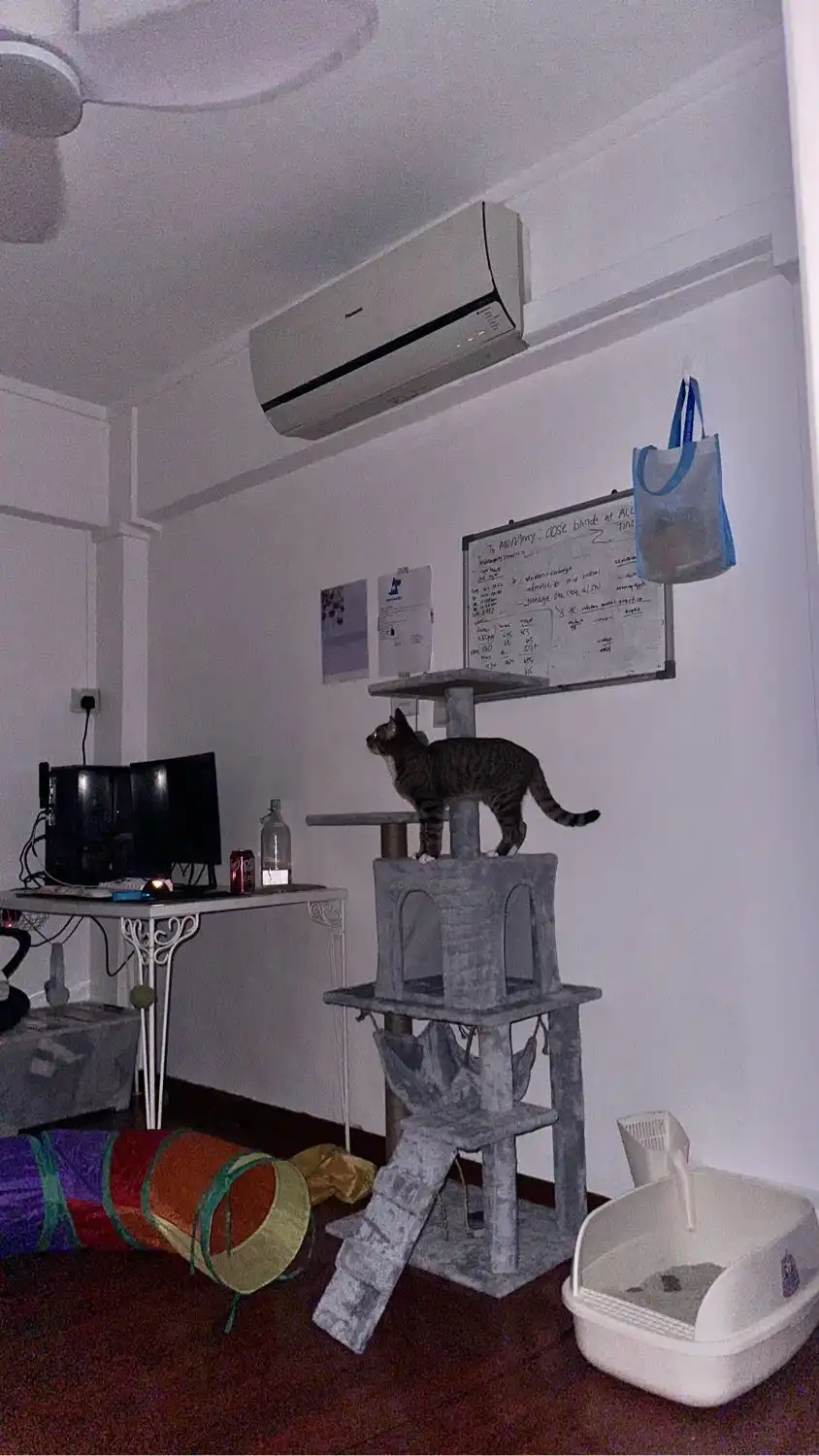 image-5