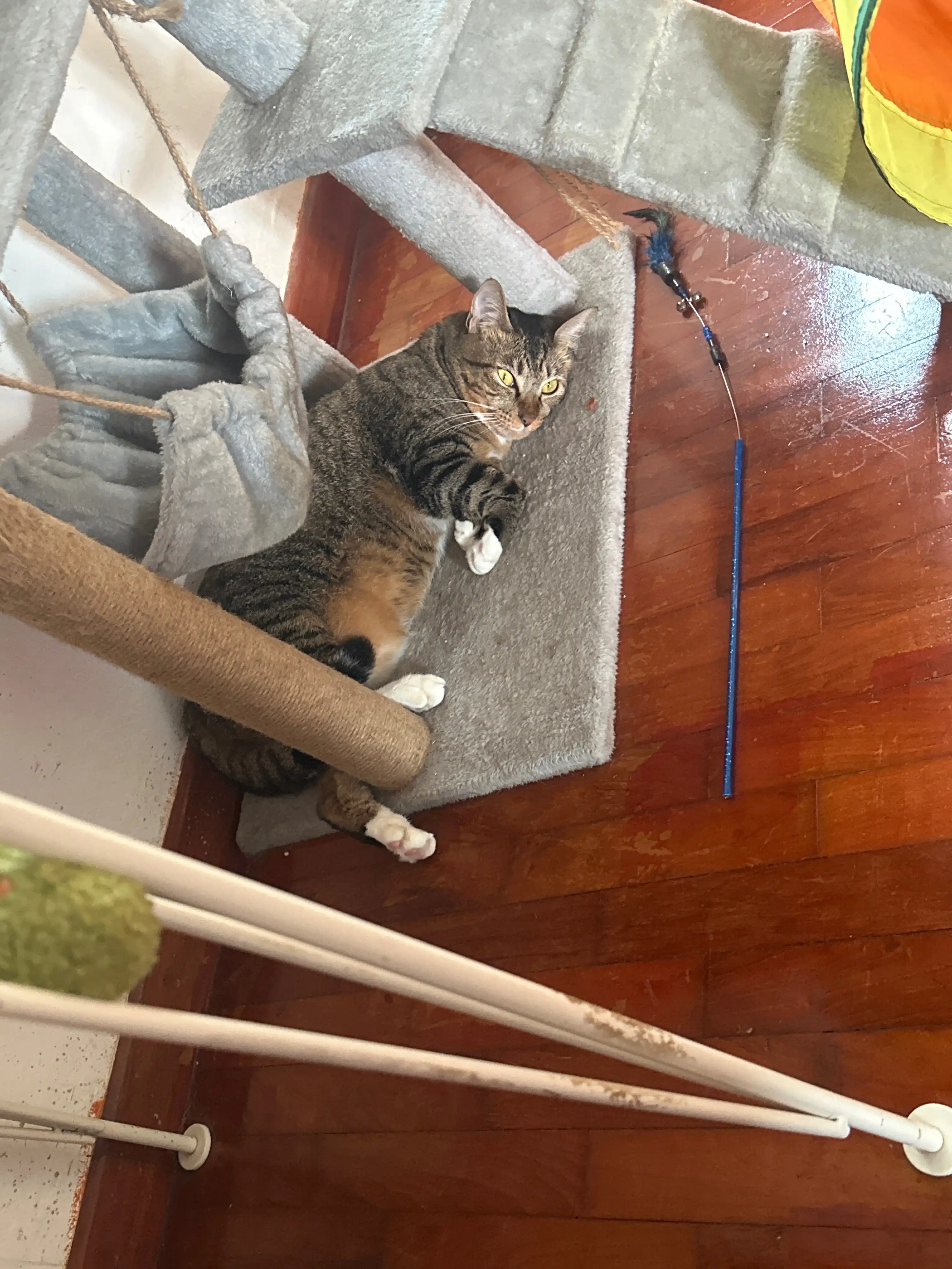 image-6