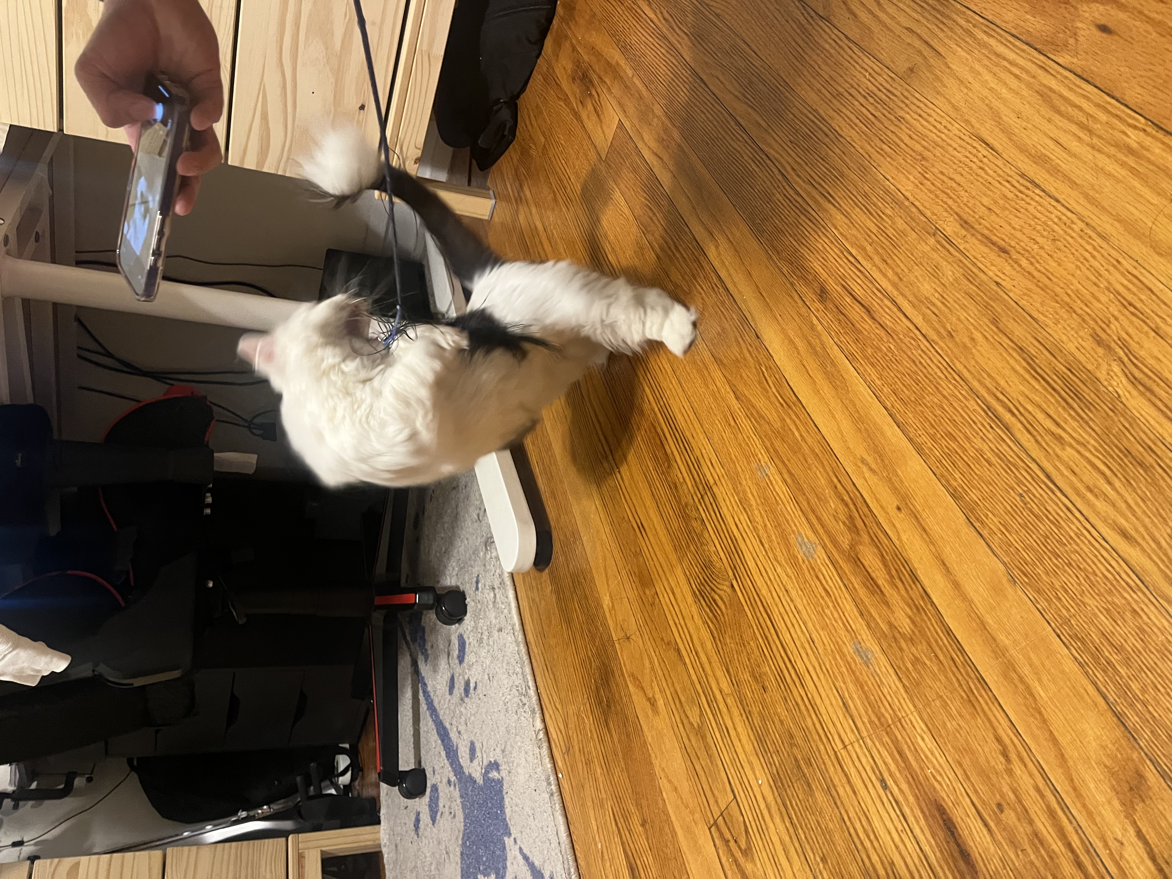 image-13