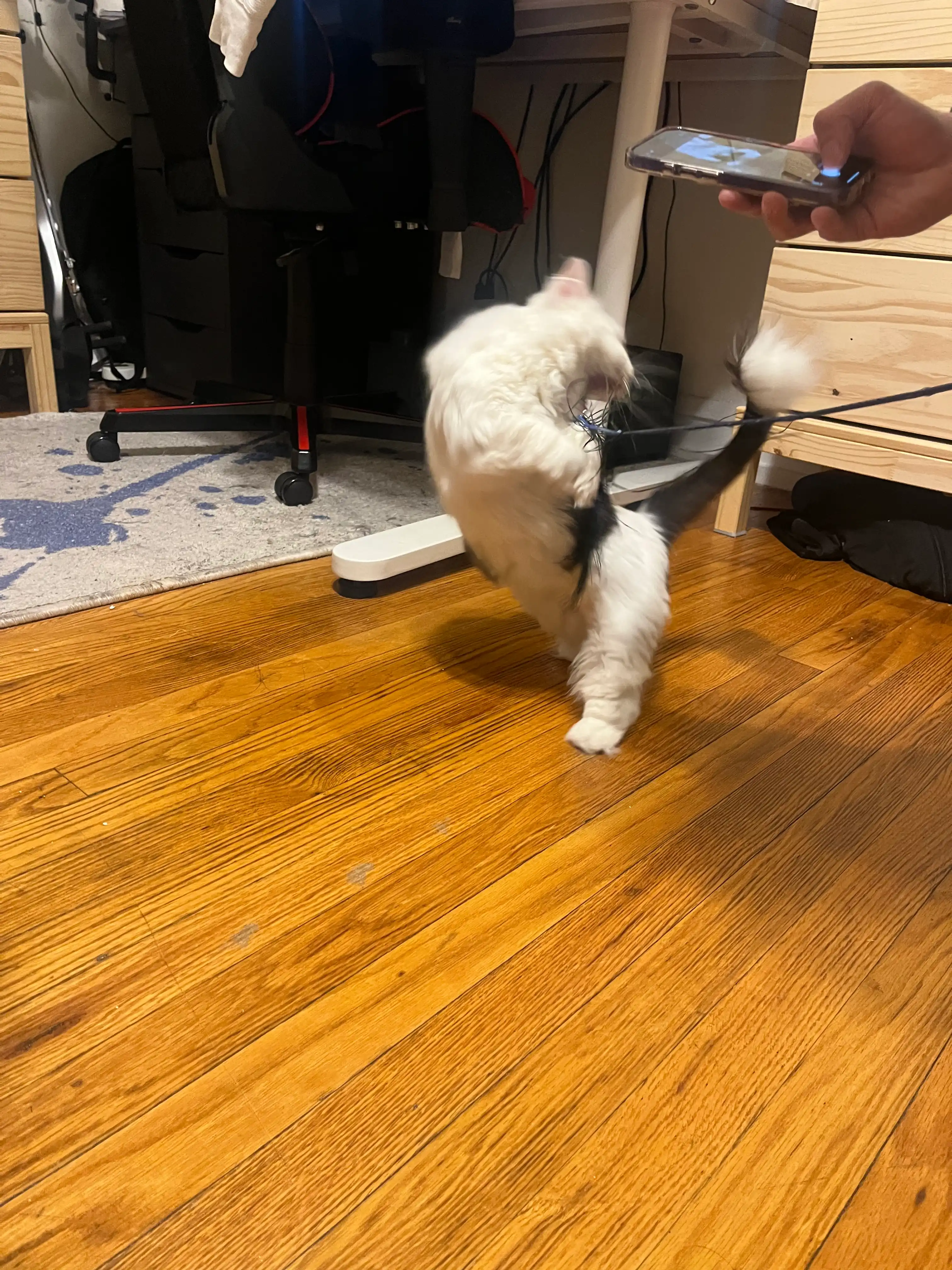 image-13