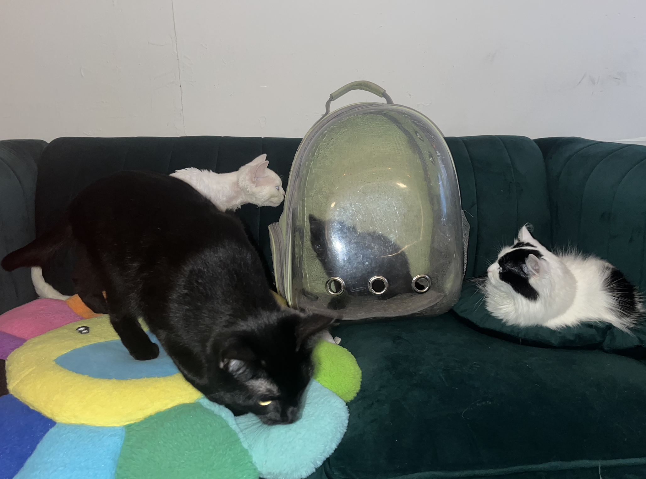image-9