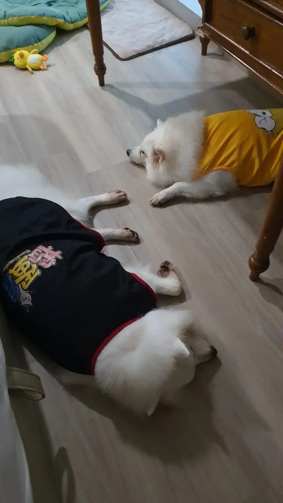 image-11