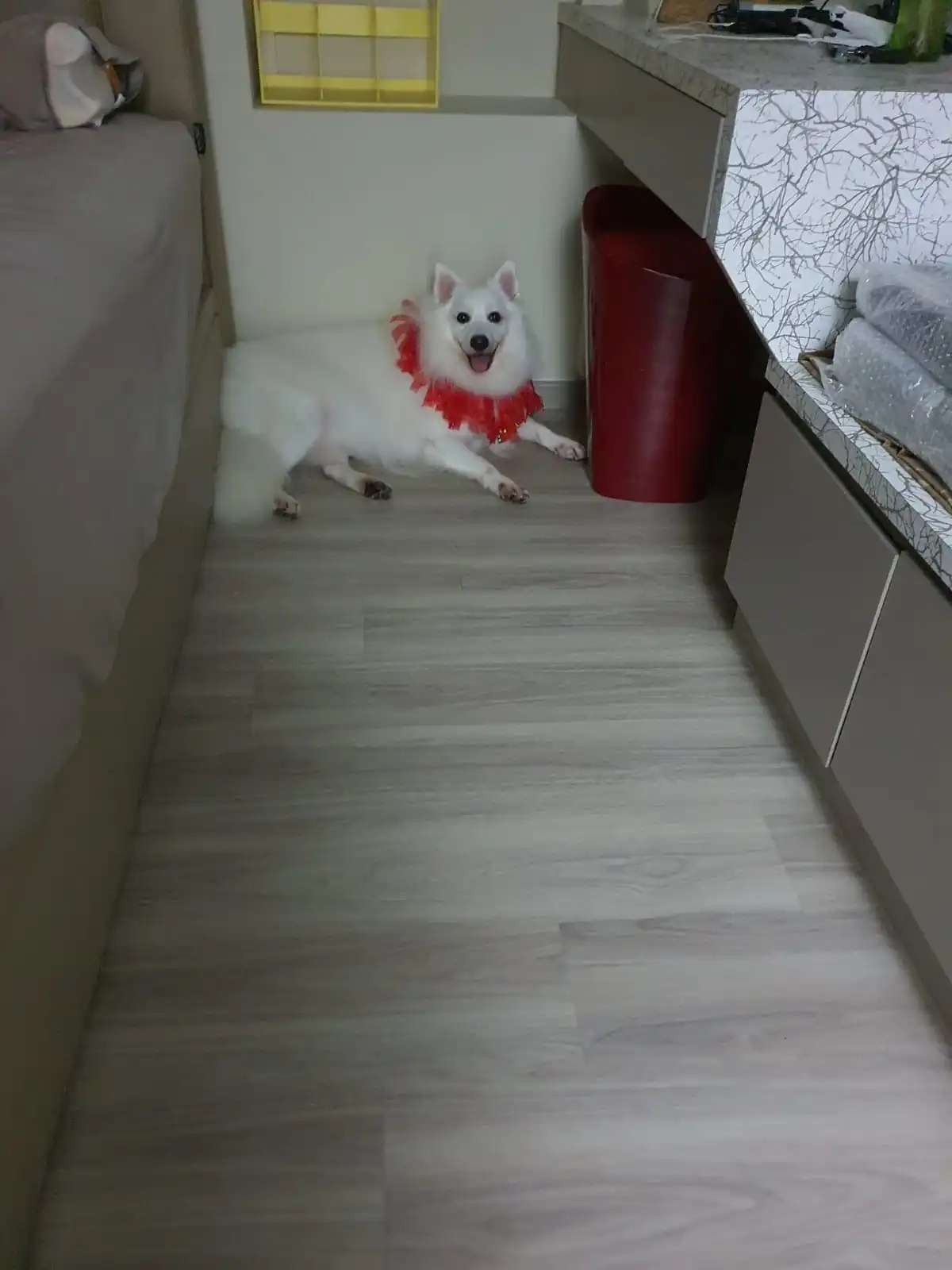 image-6
