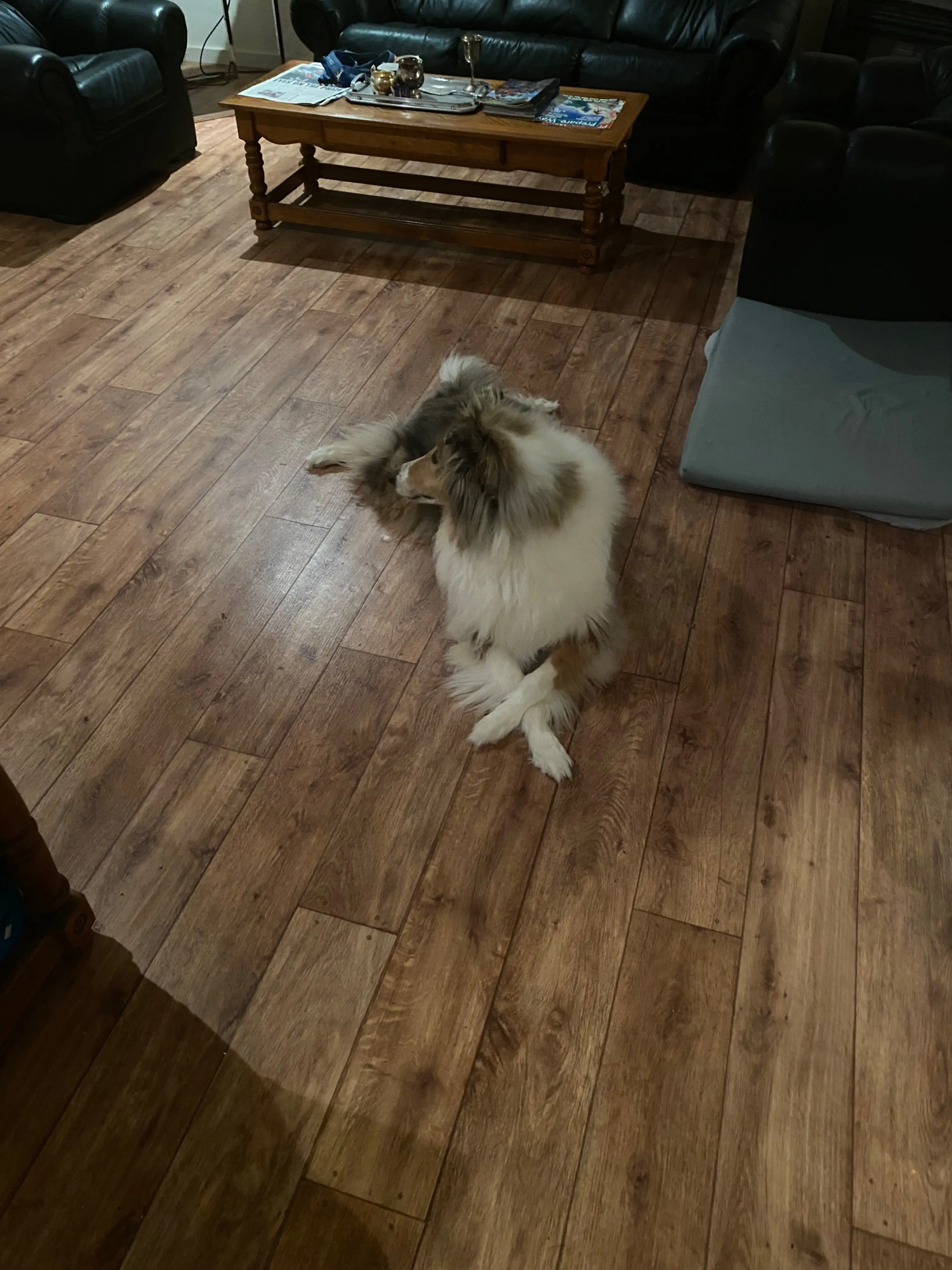 image-2