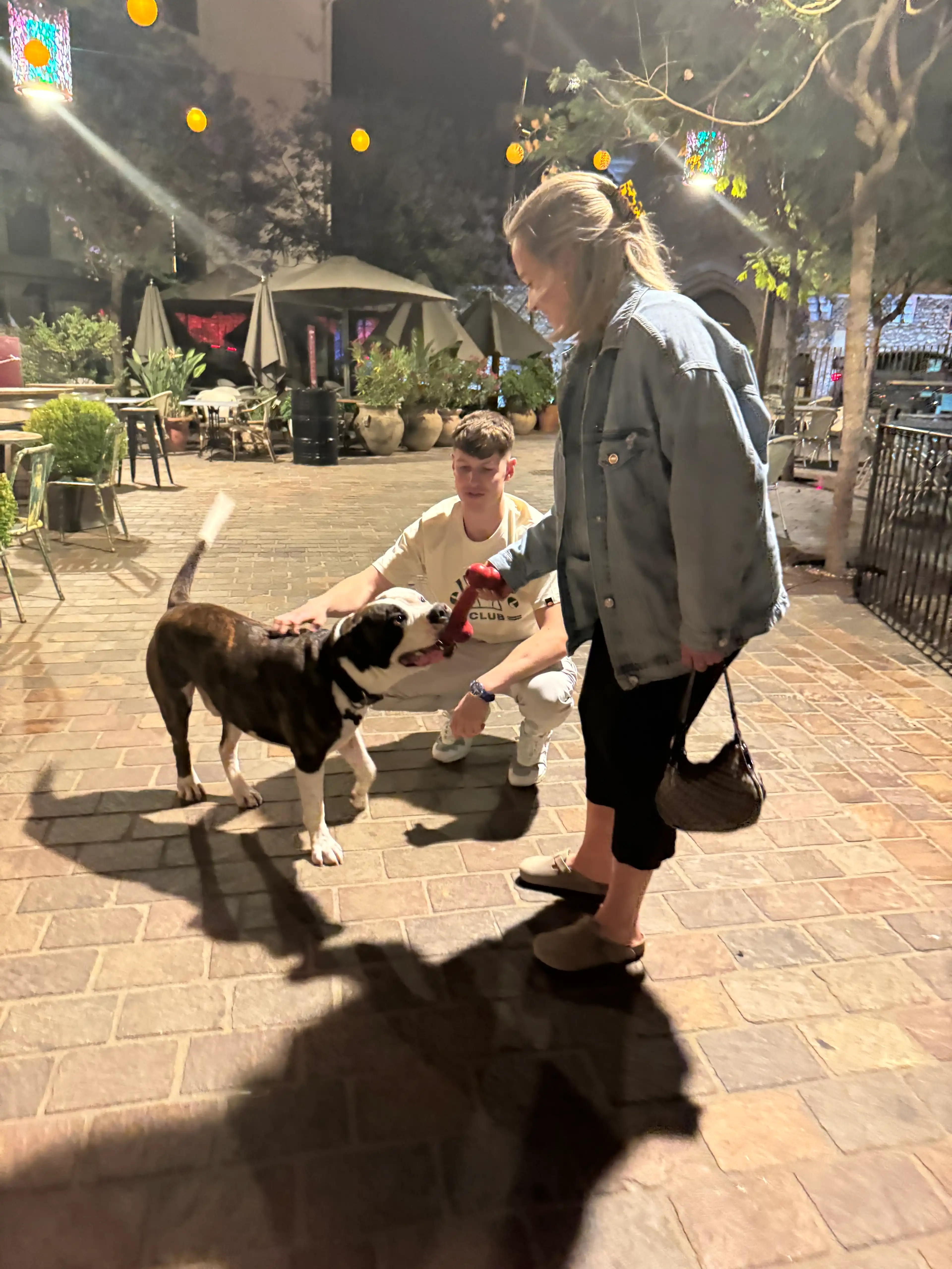 image-11