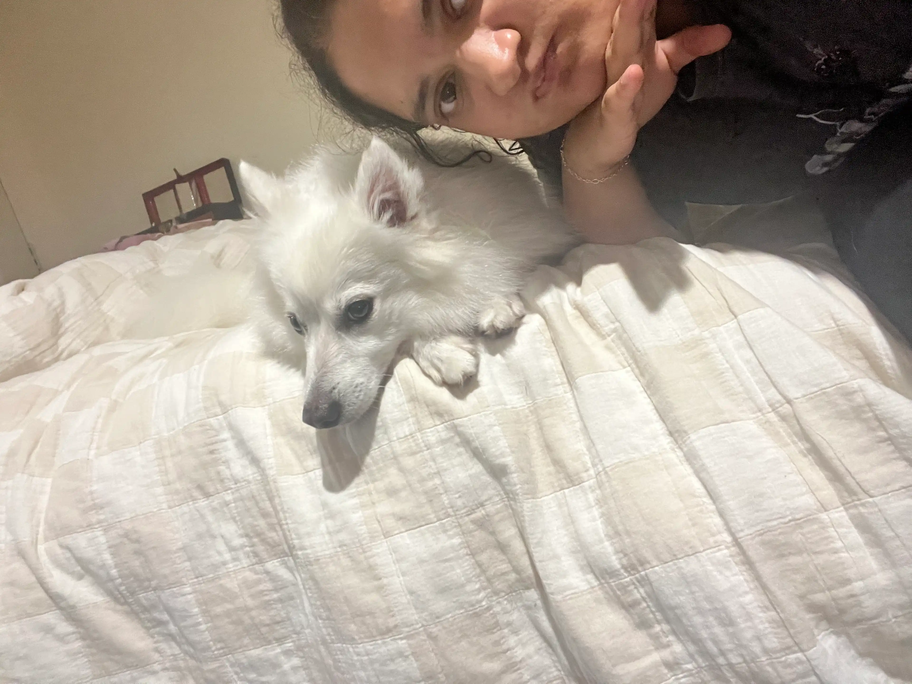 image-6