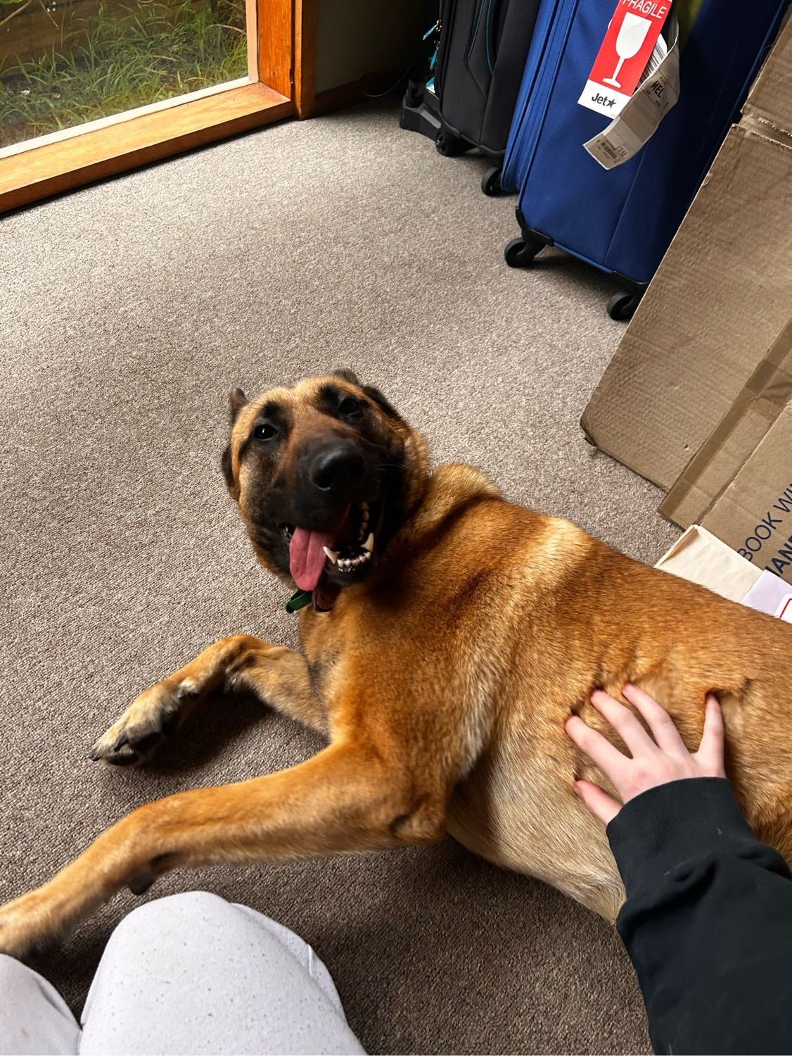 image-8