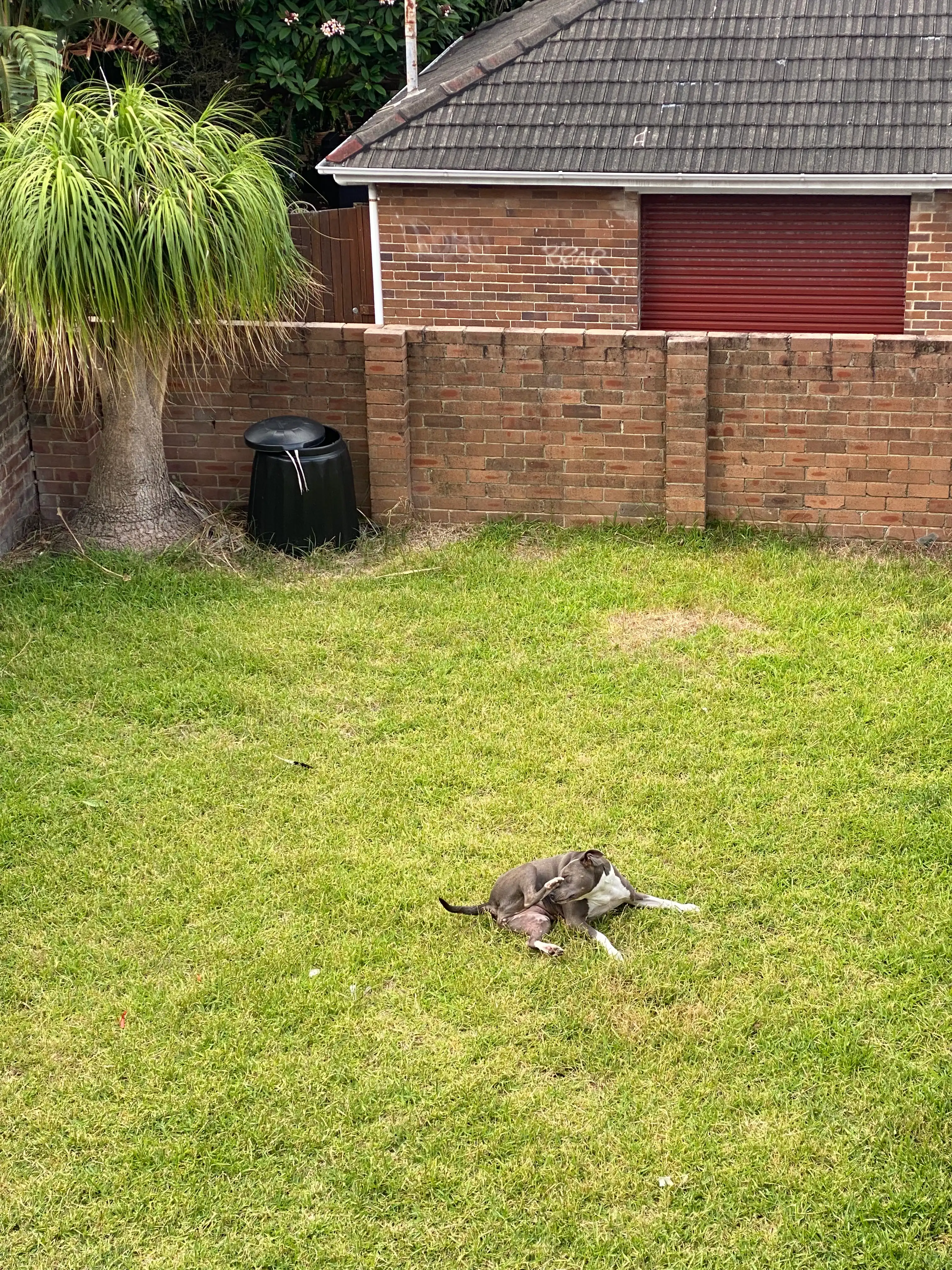 image-20