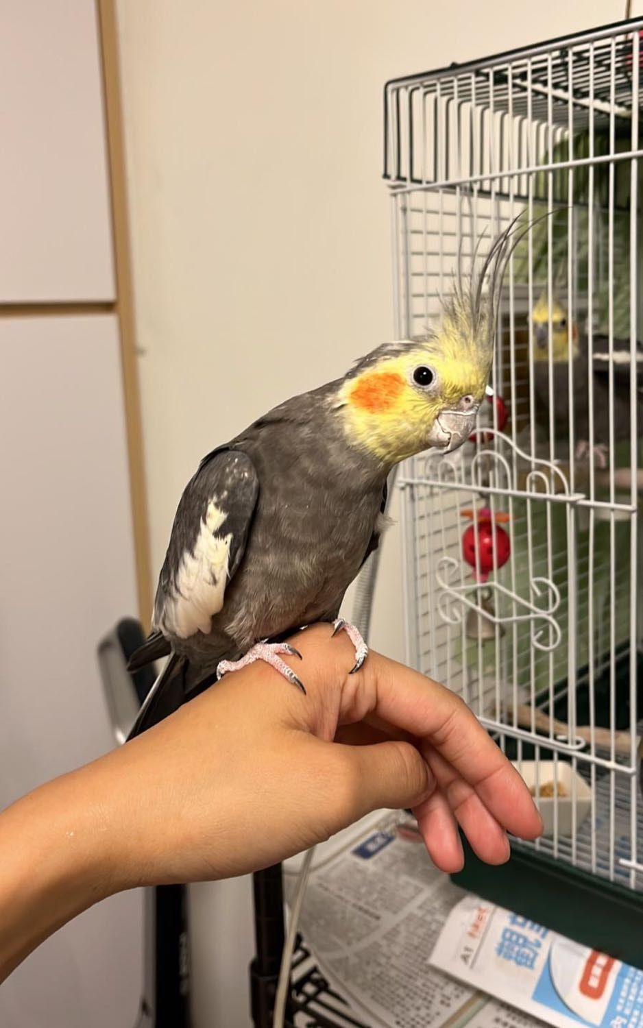 image-10