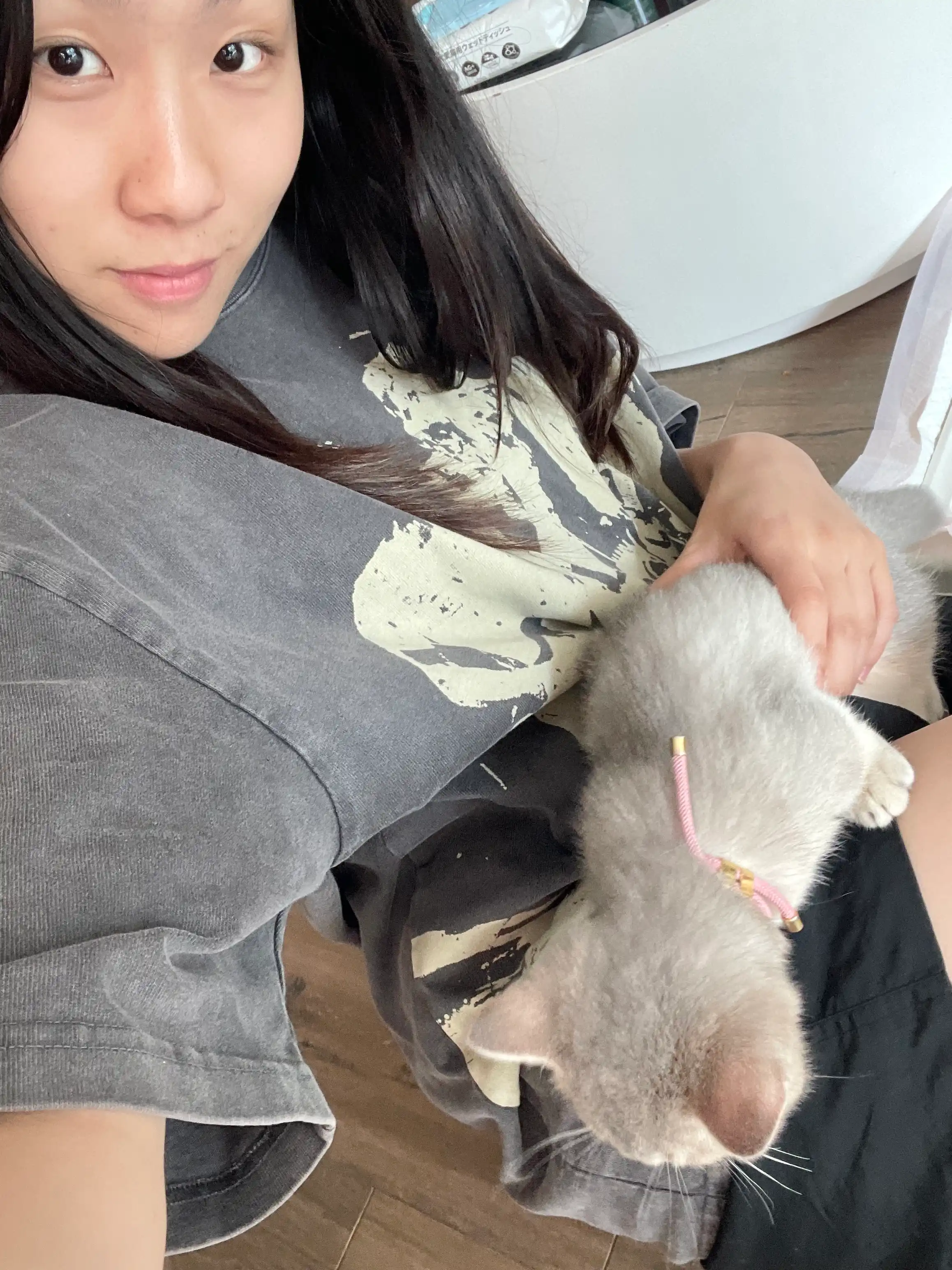 image-7