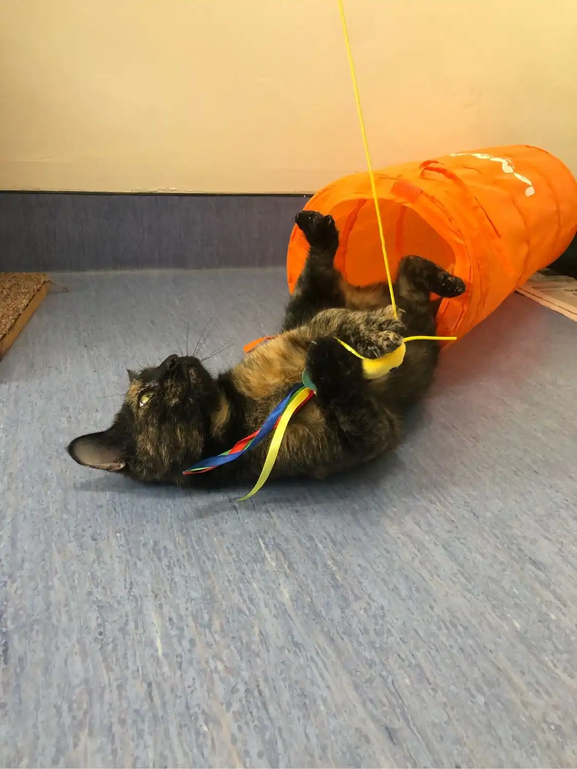 image-6
