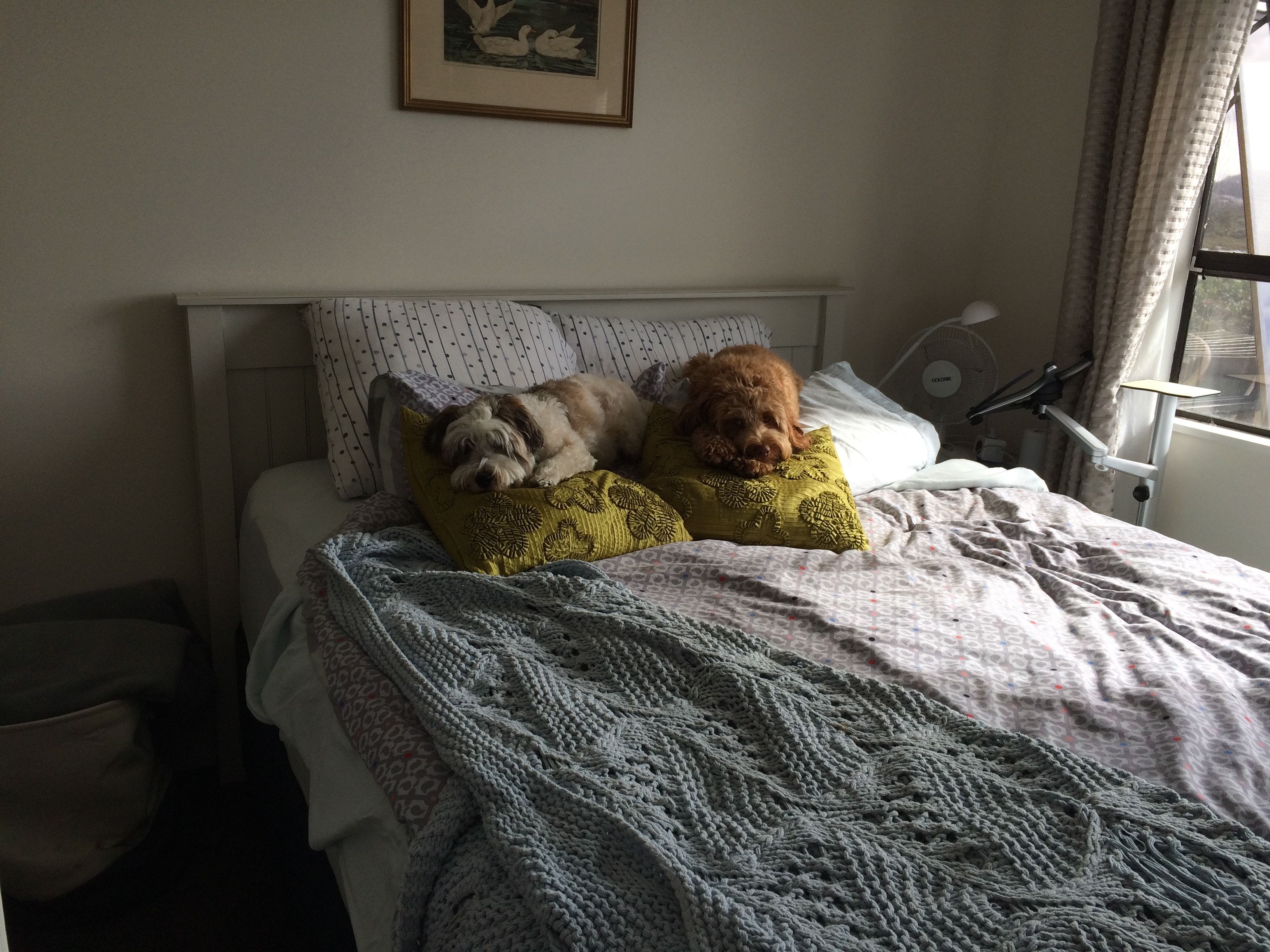 image-3