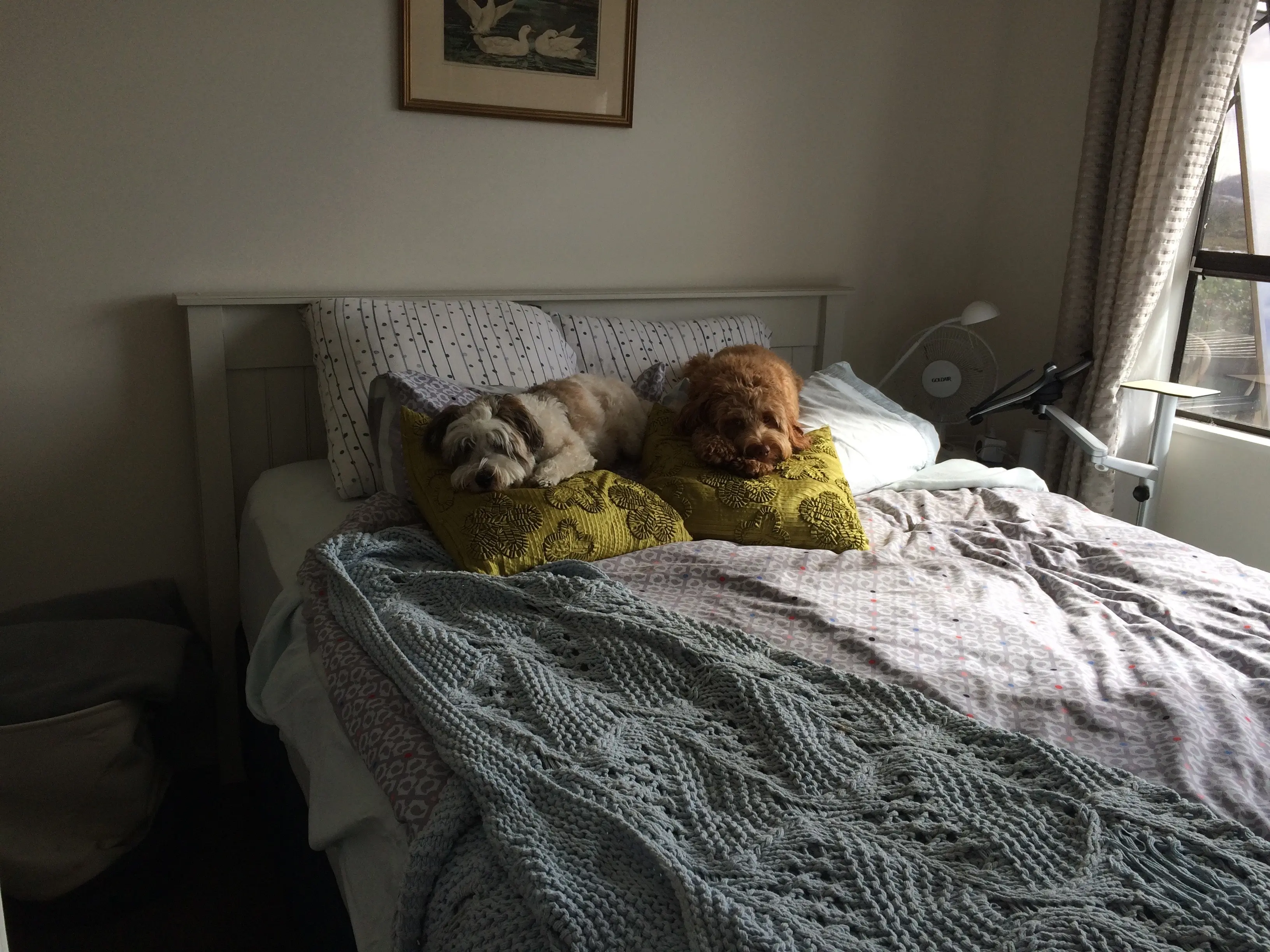 image-3