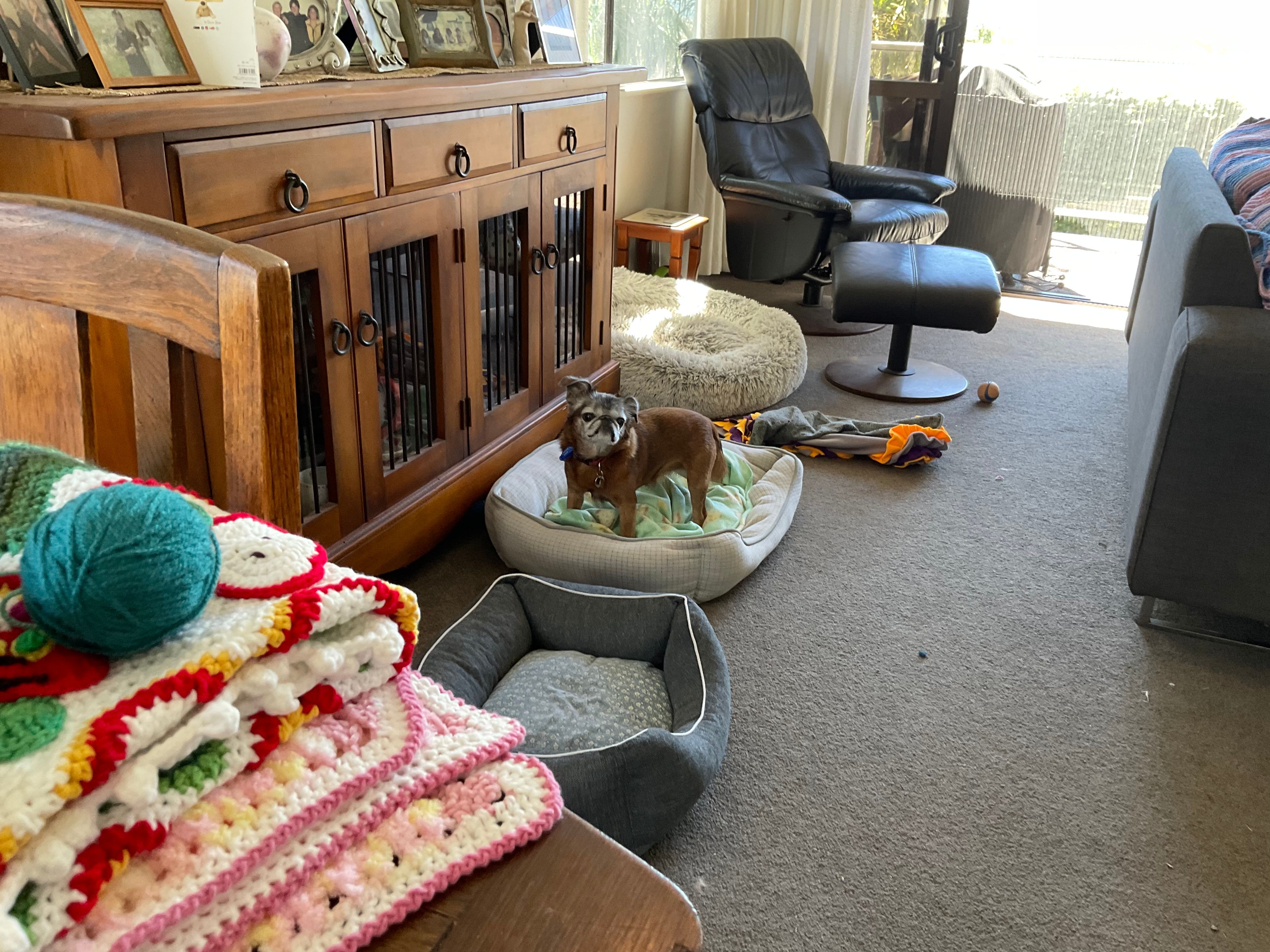 image-13