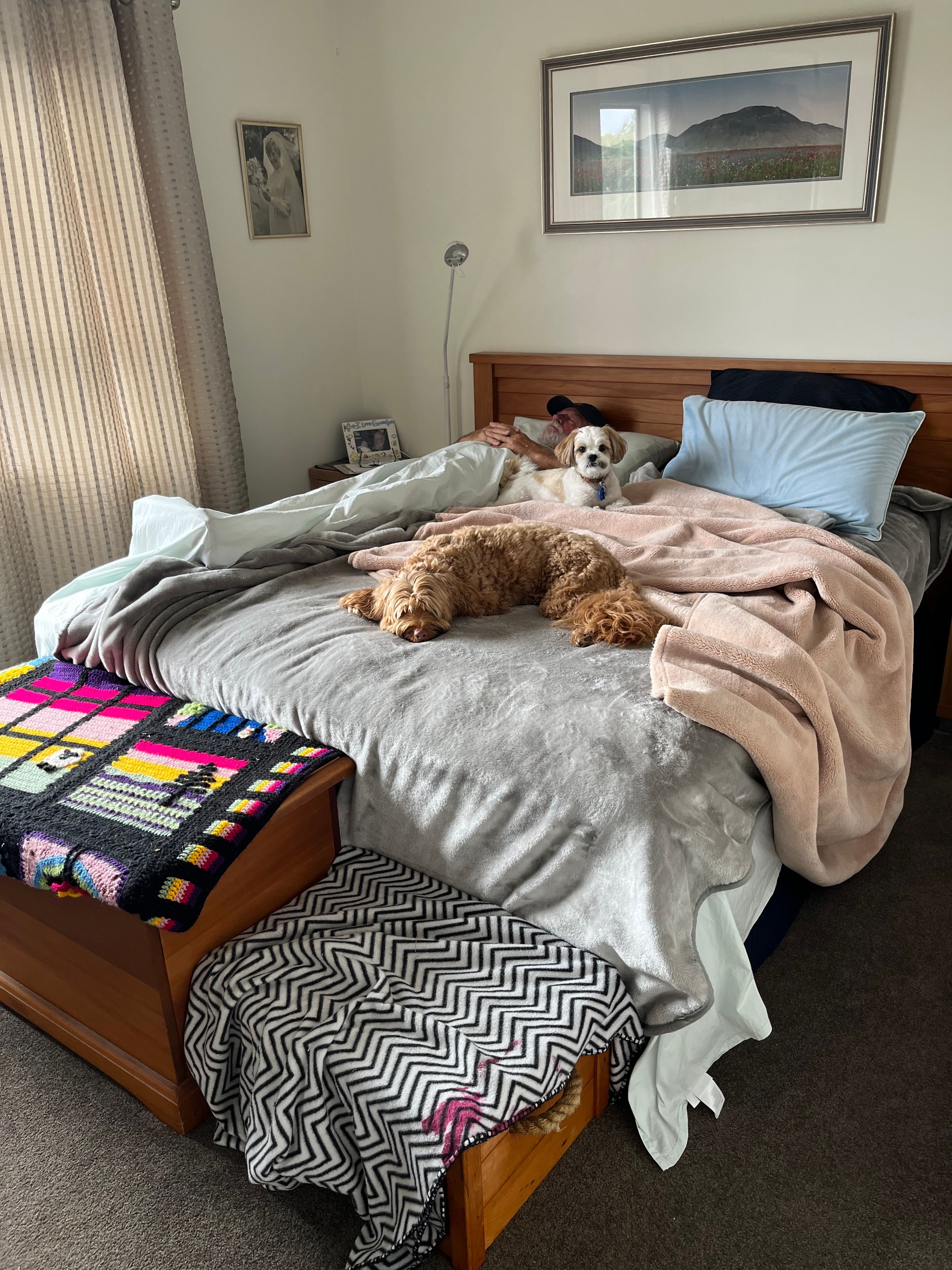image-12