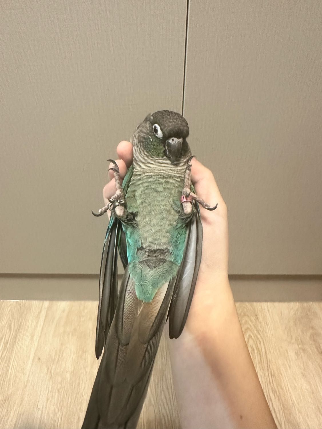 image-4