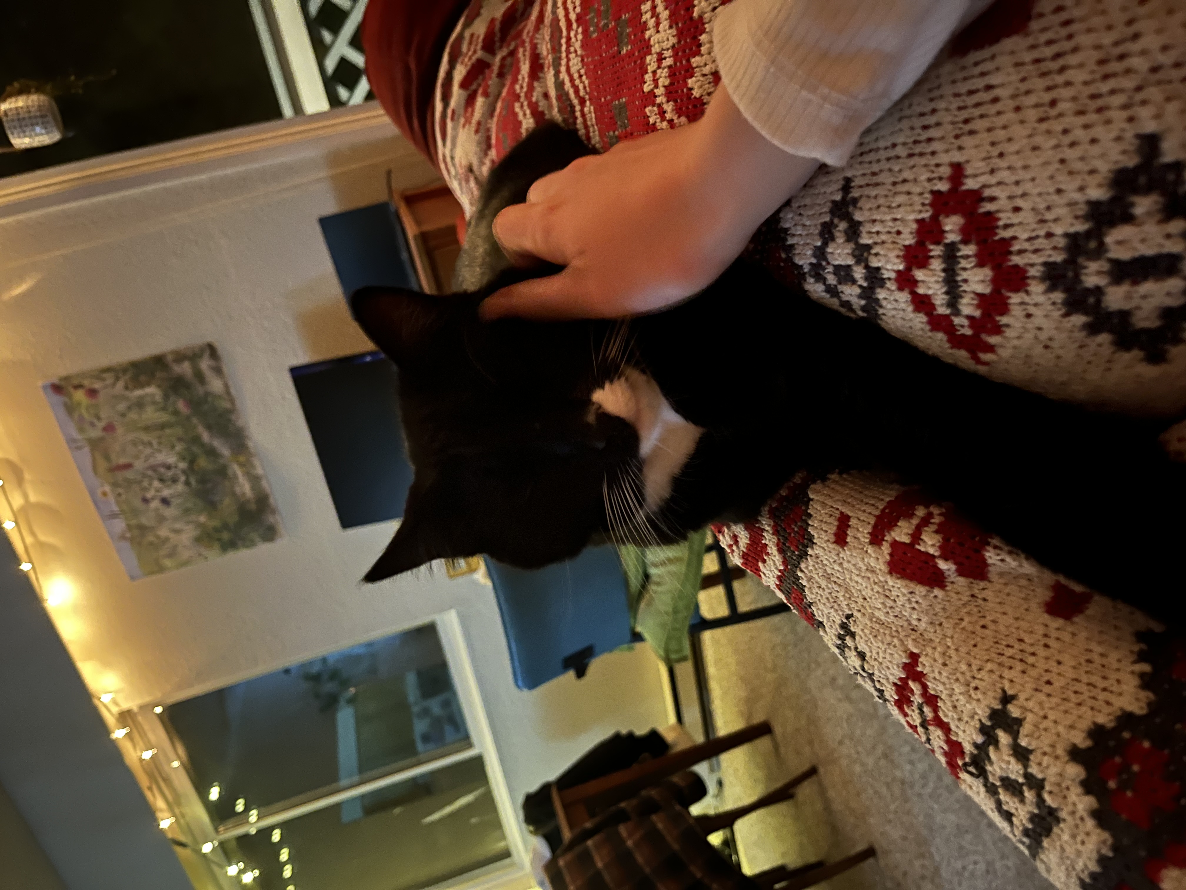 image-9