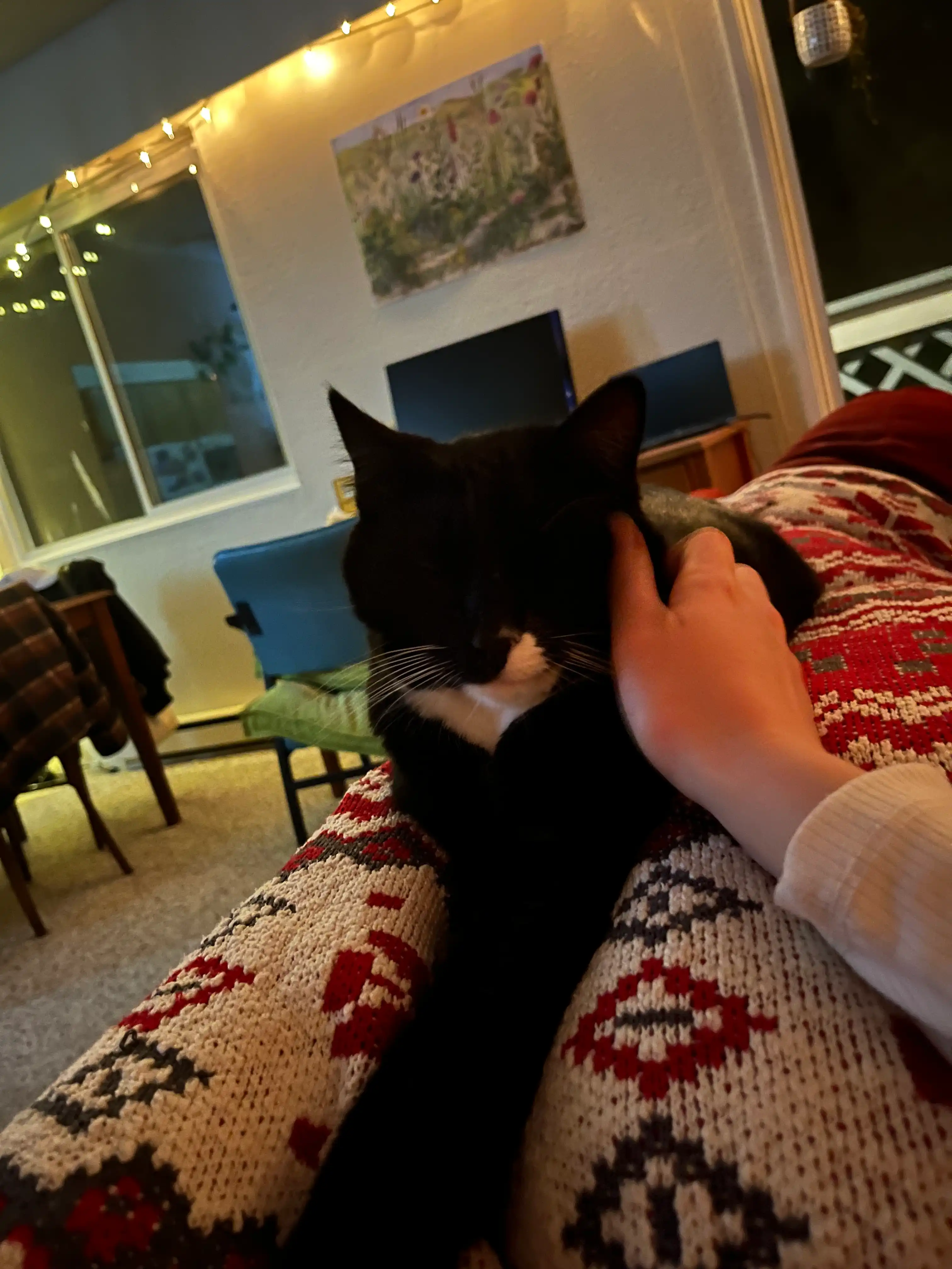 image-9