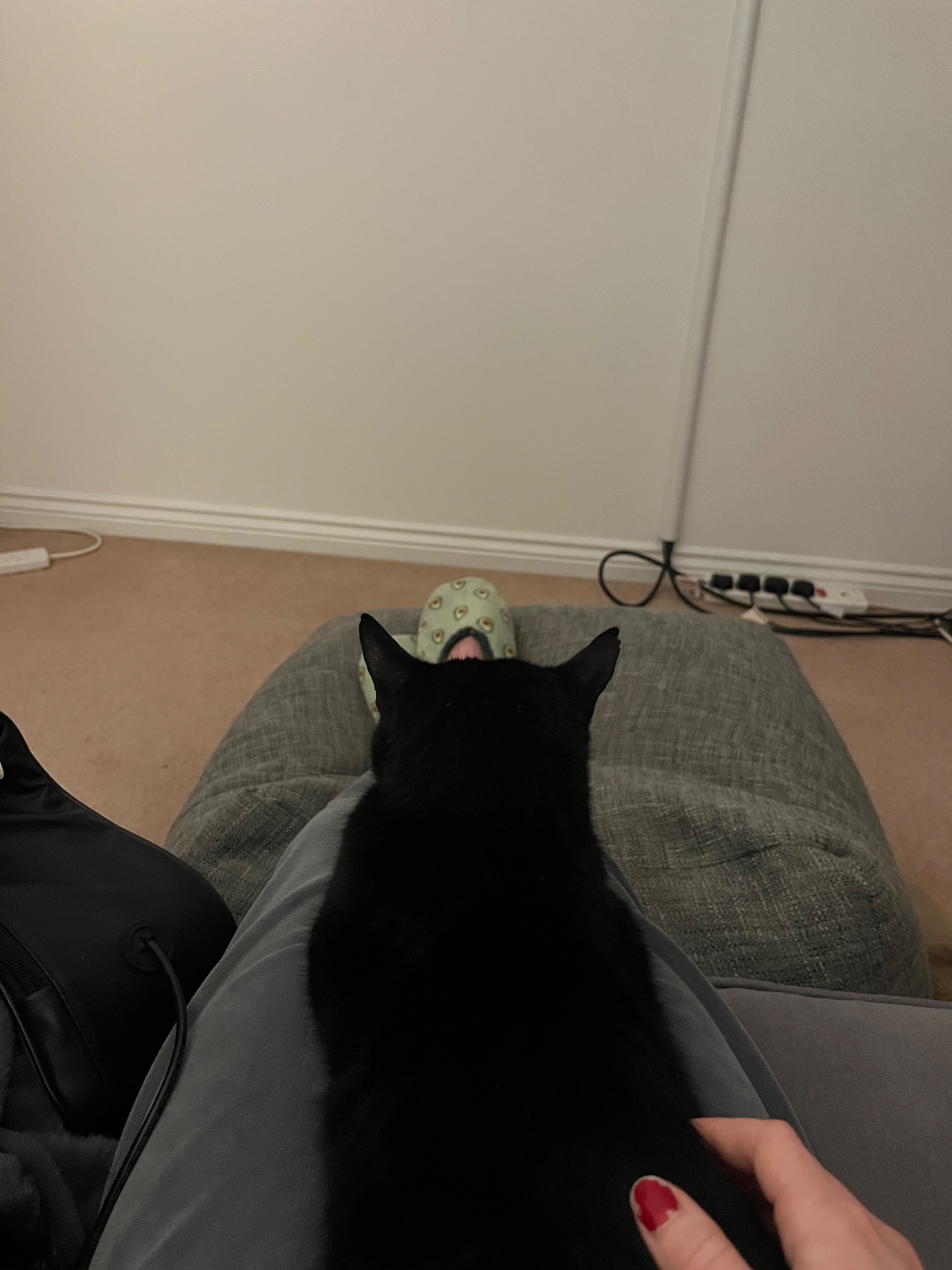 image-5