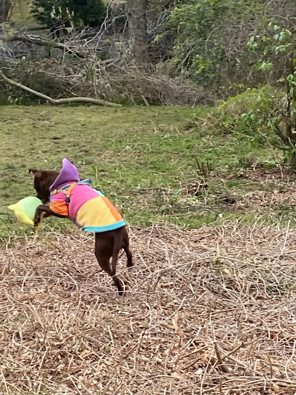 image-10