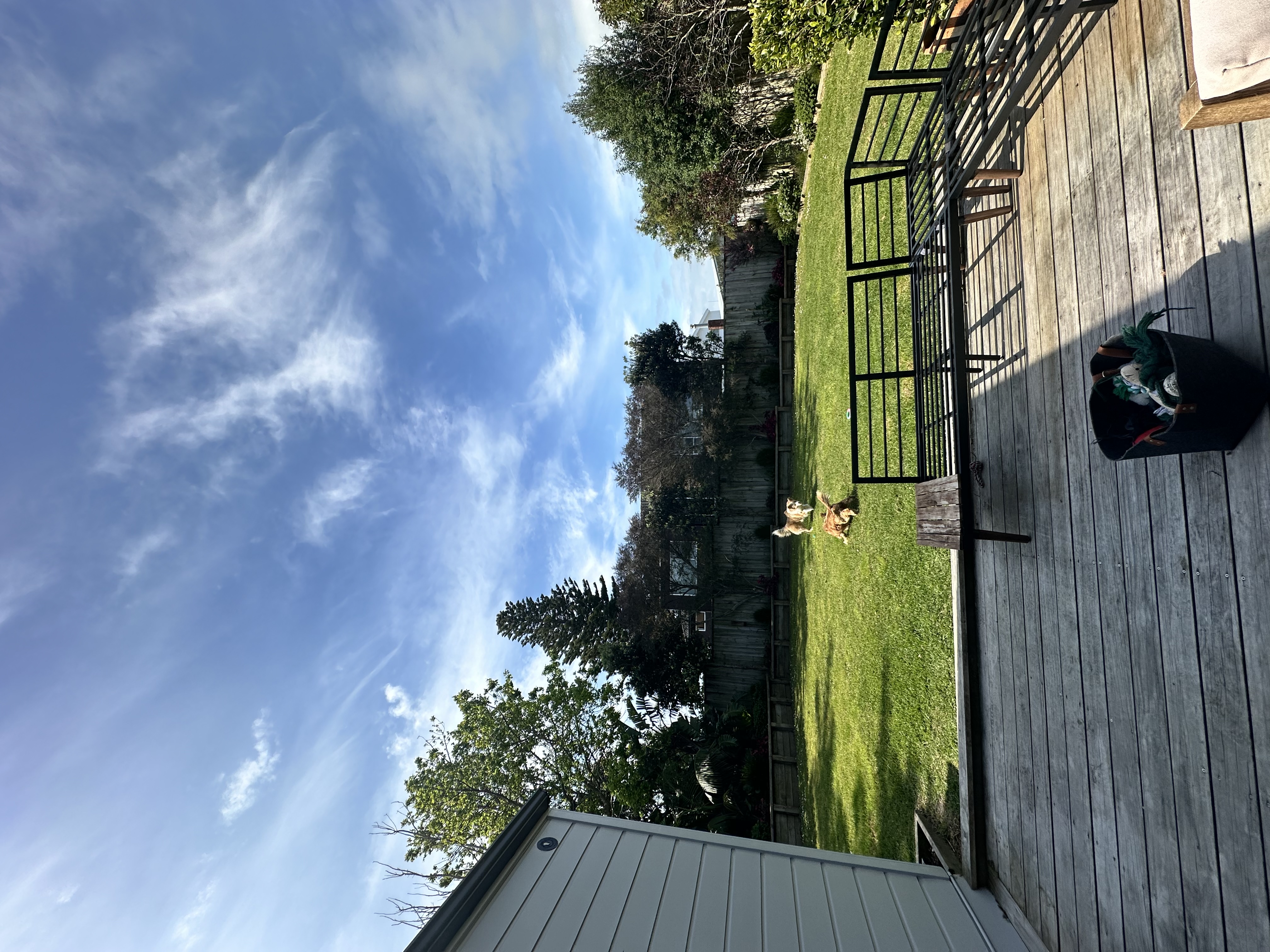 image-14