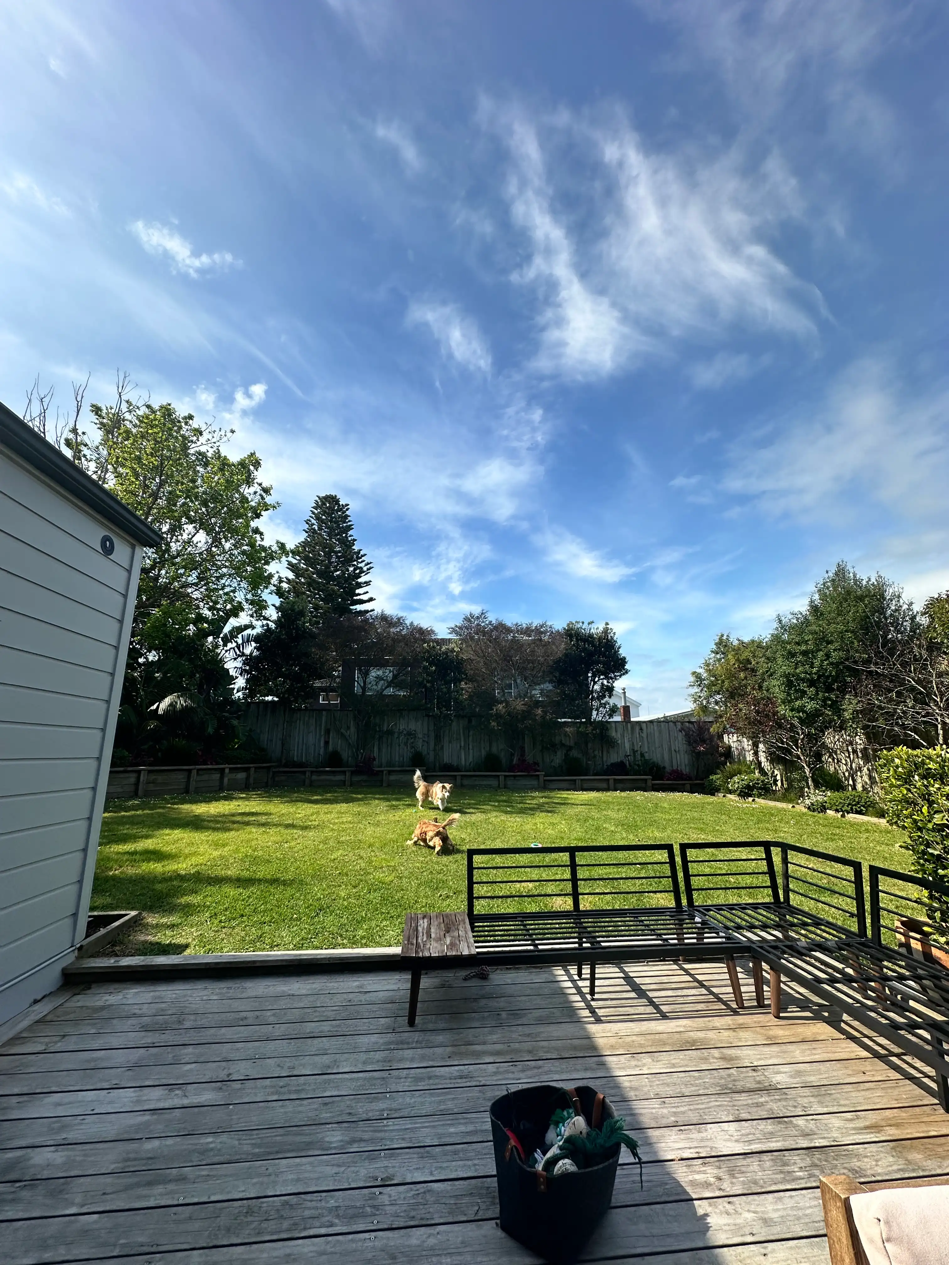 image-14