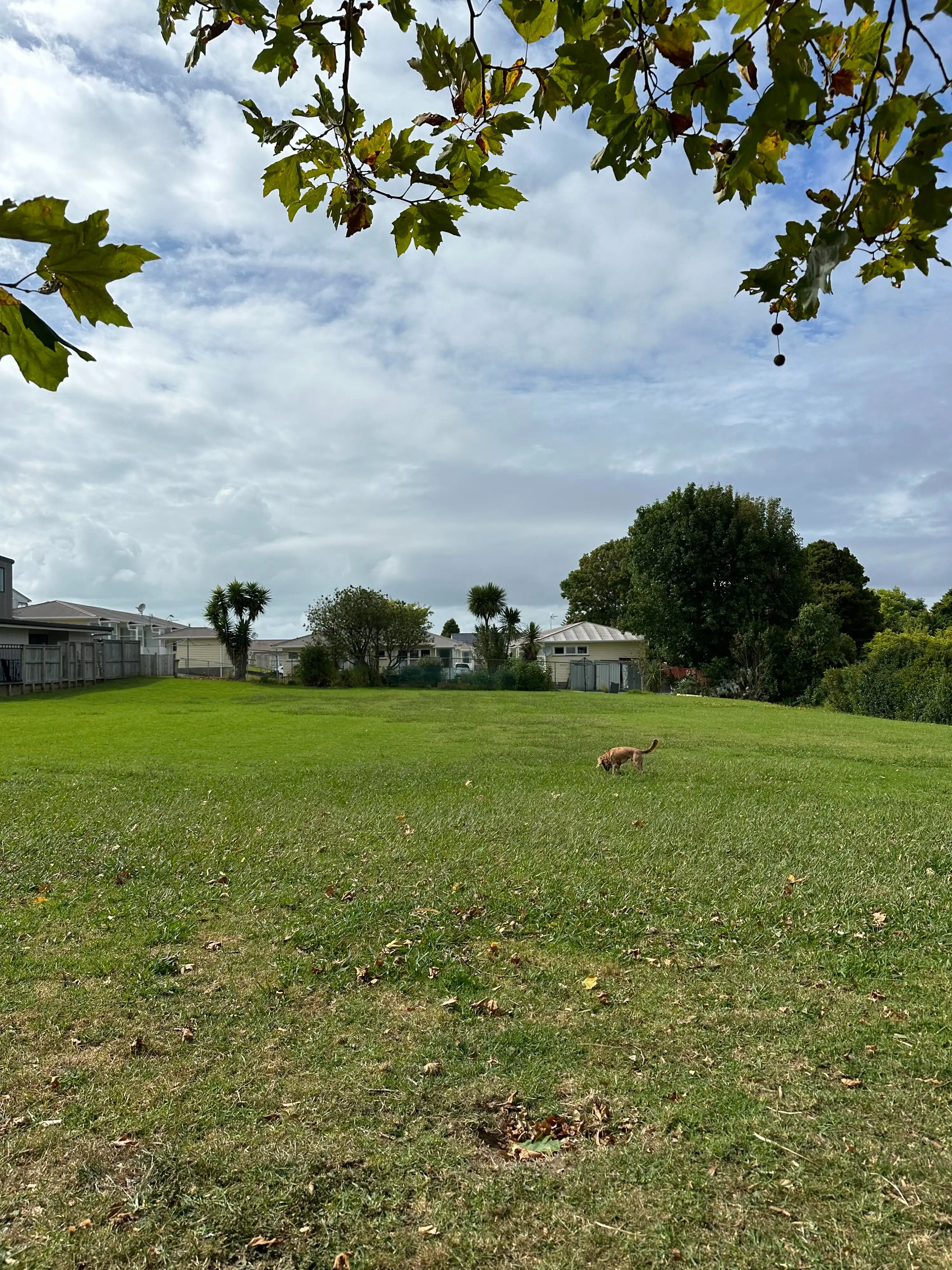 image-11