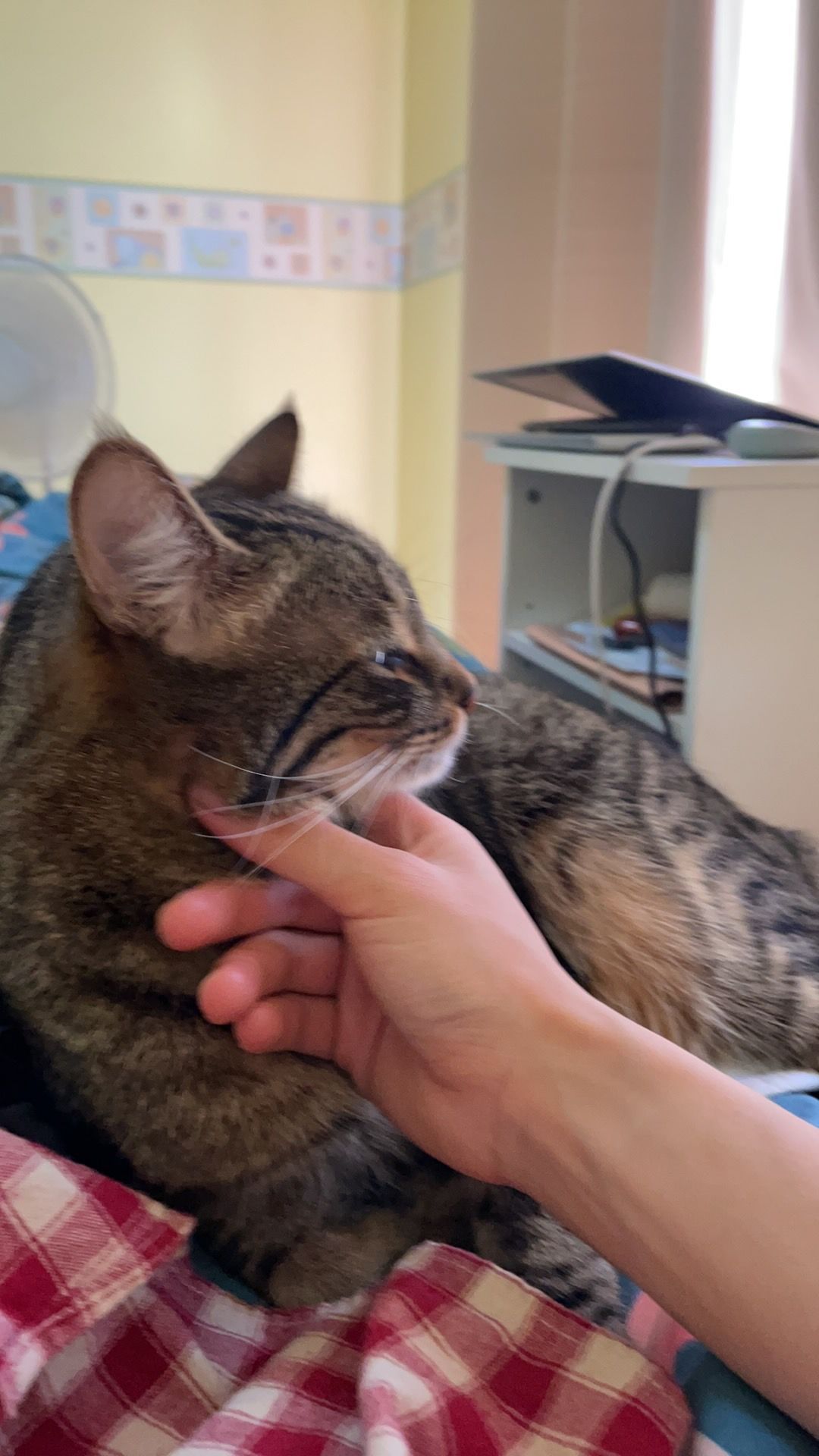 image-6