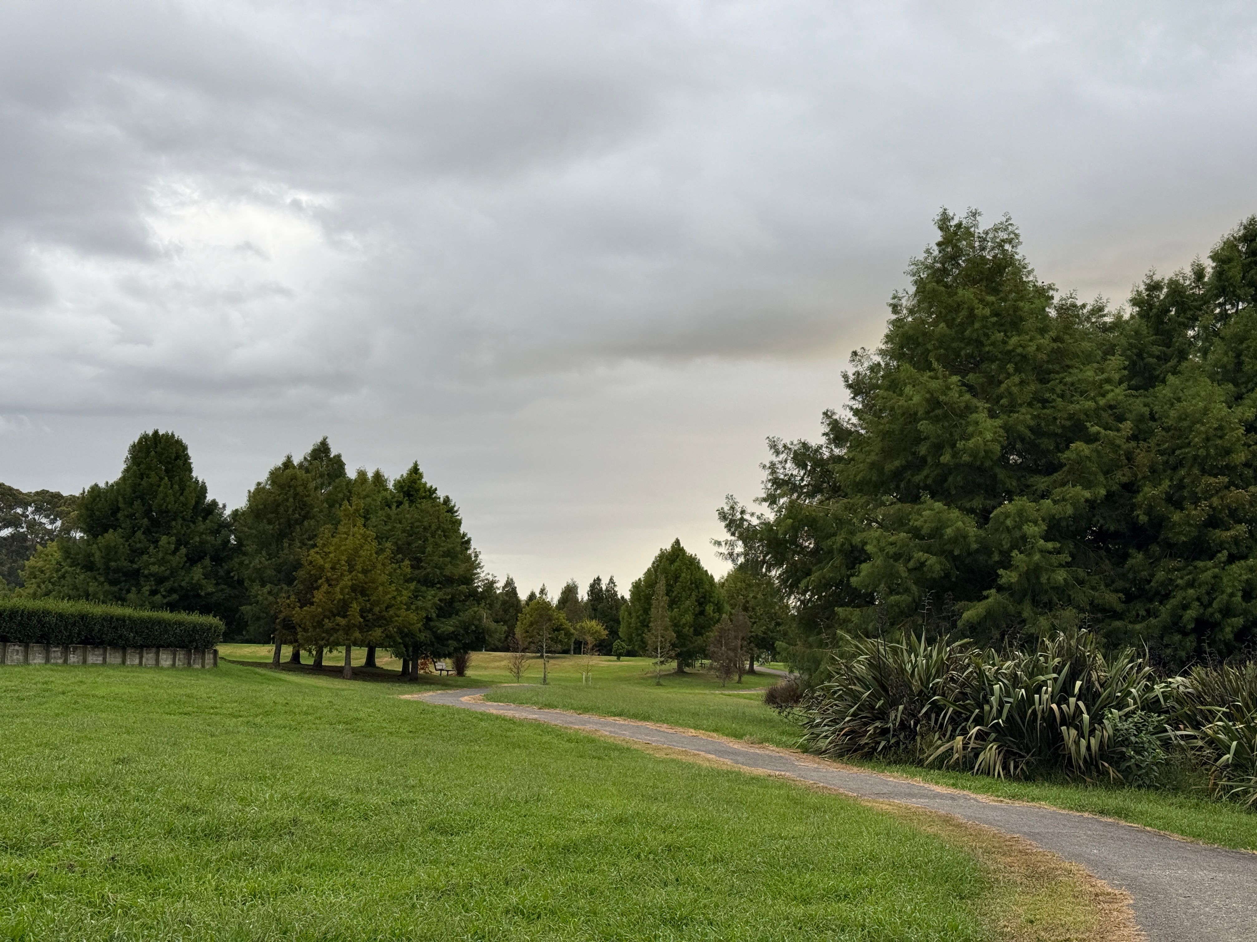 image-20