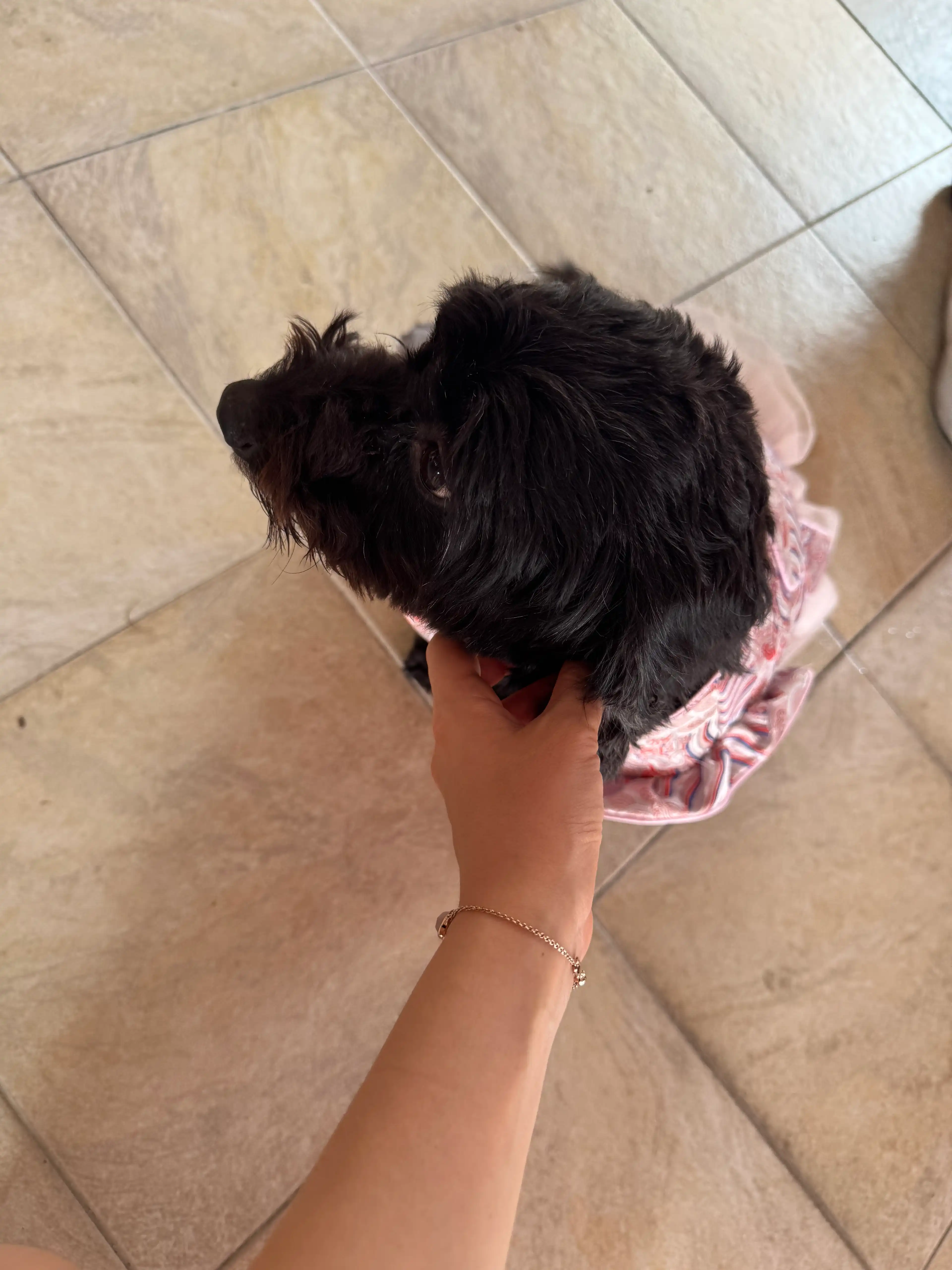 image-10