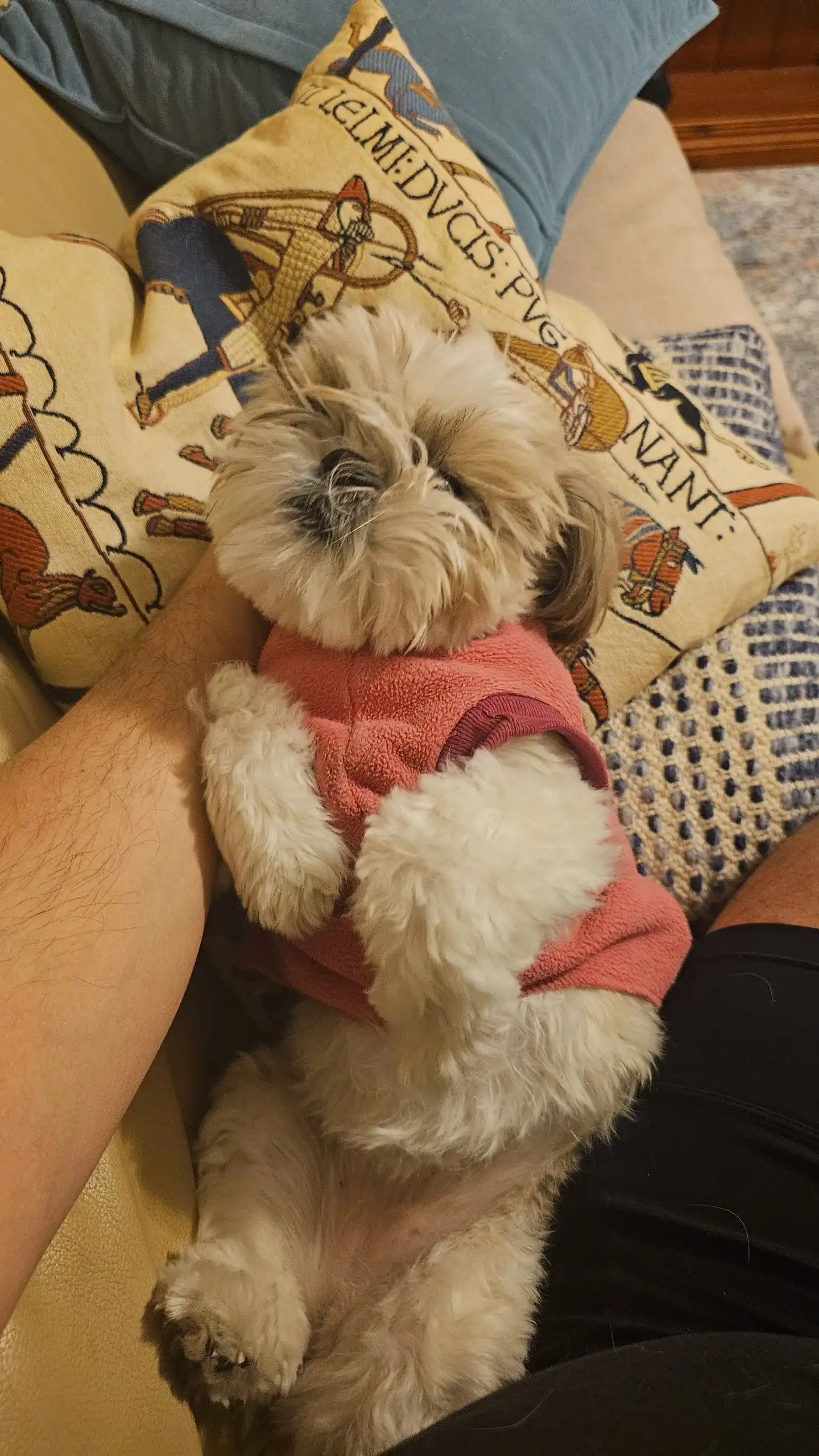 image-6