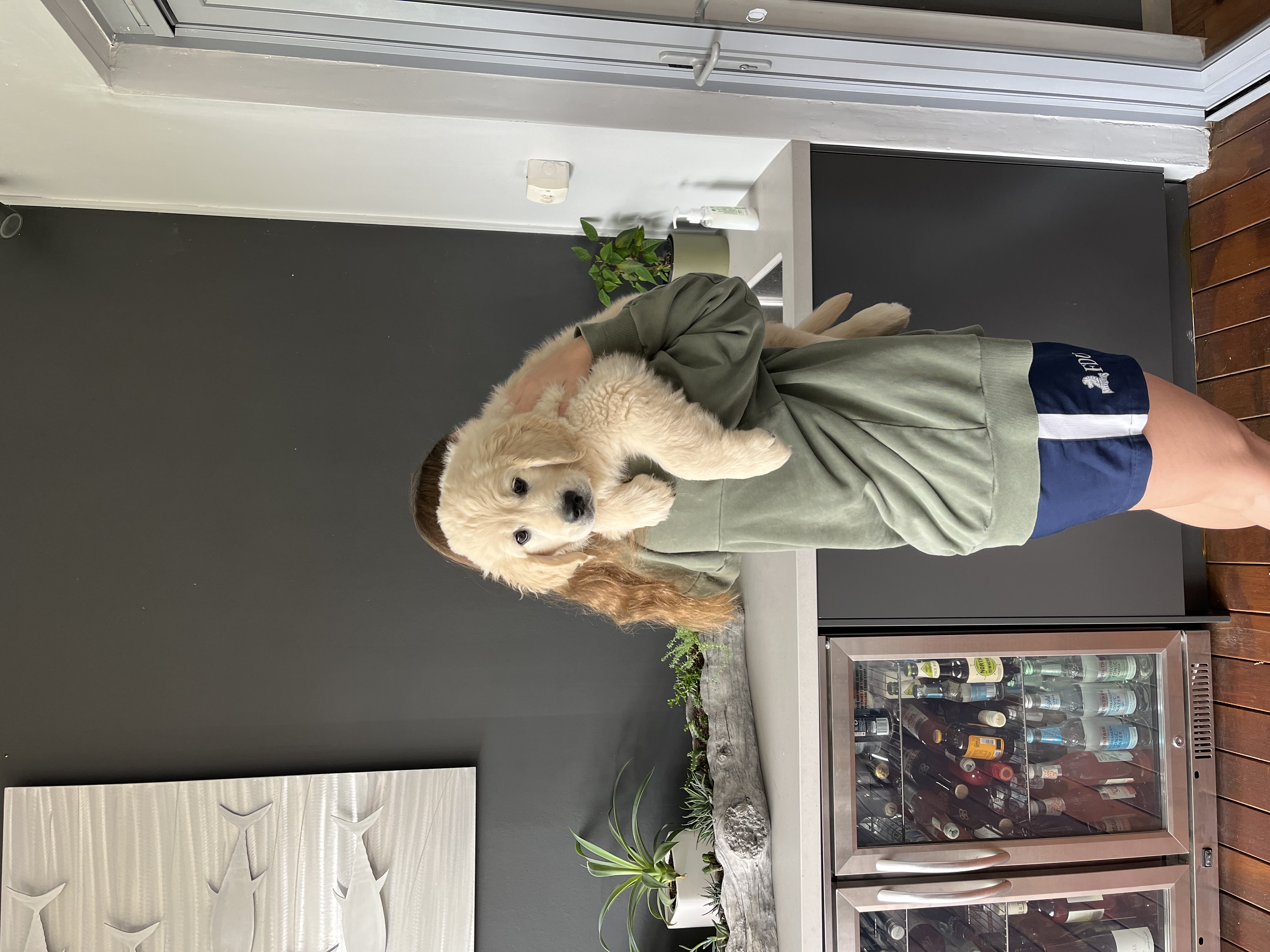 image-8