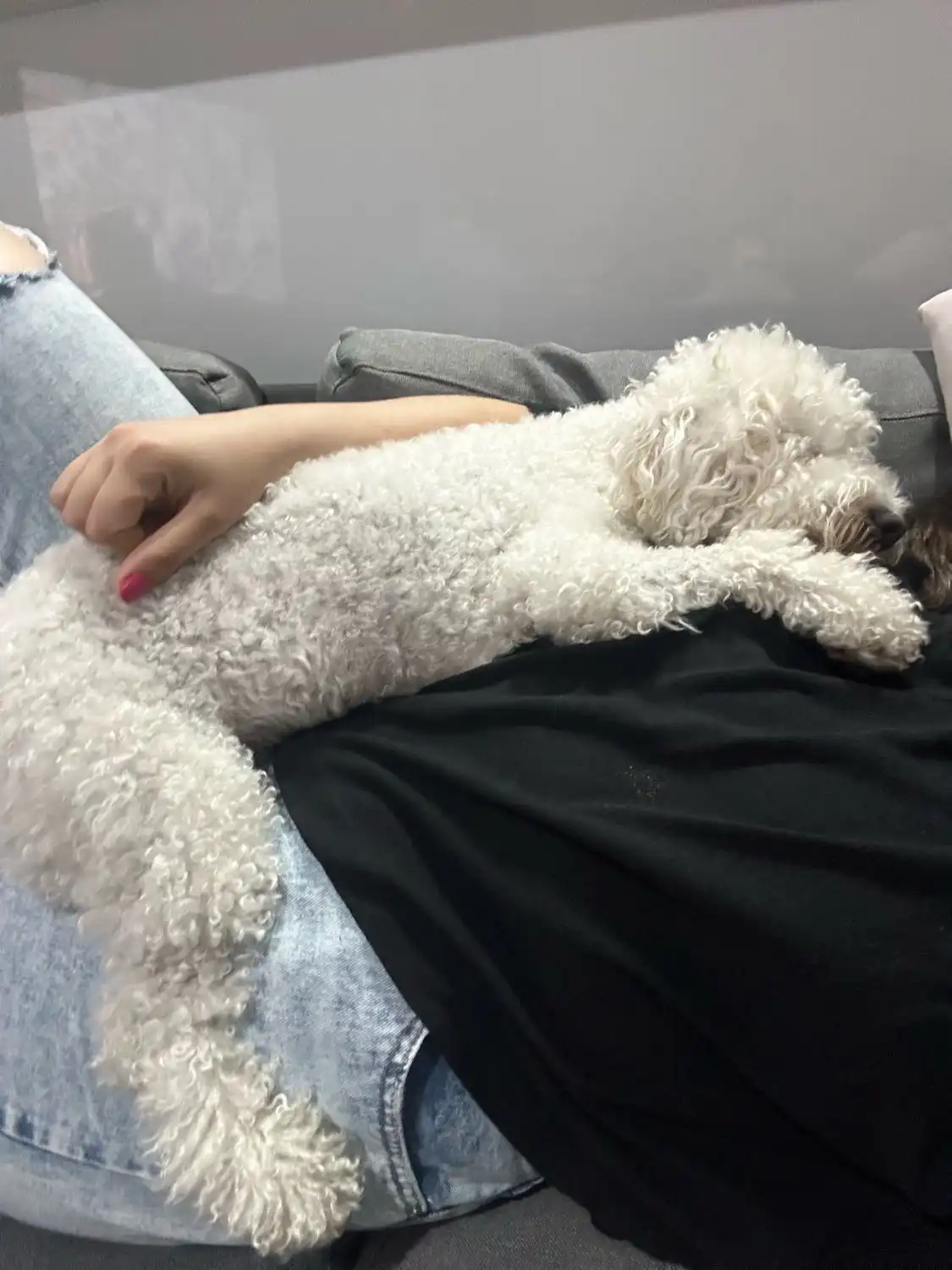 image-9