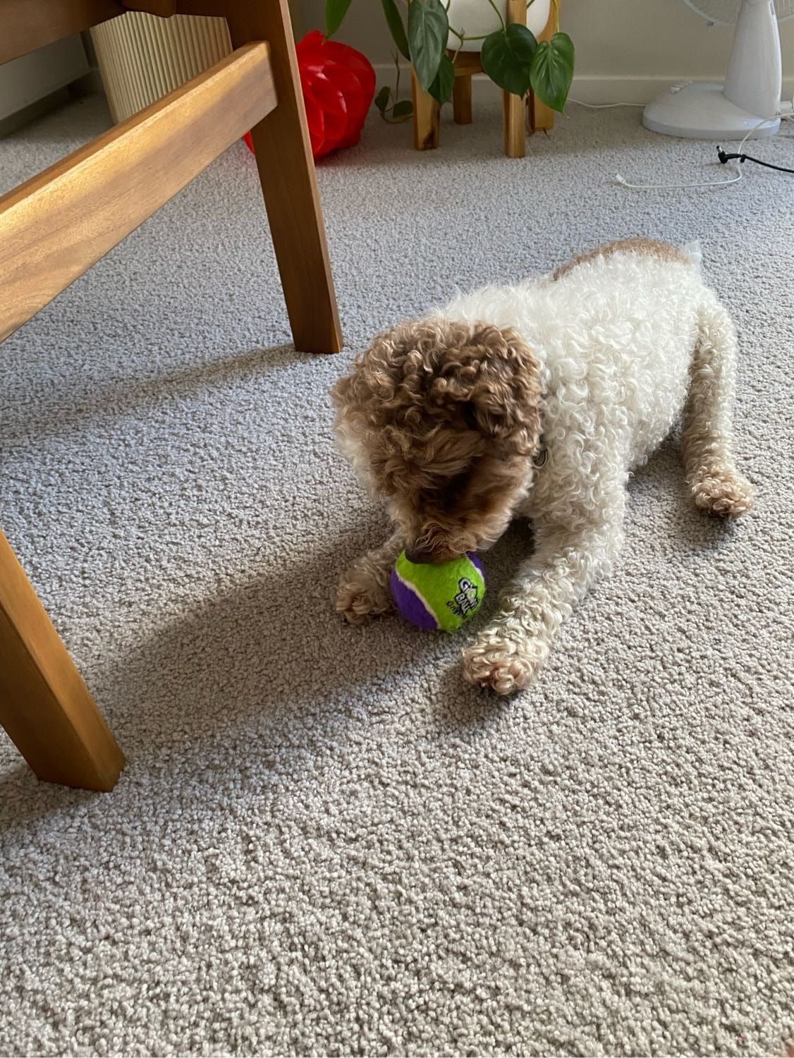 image-25