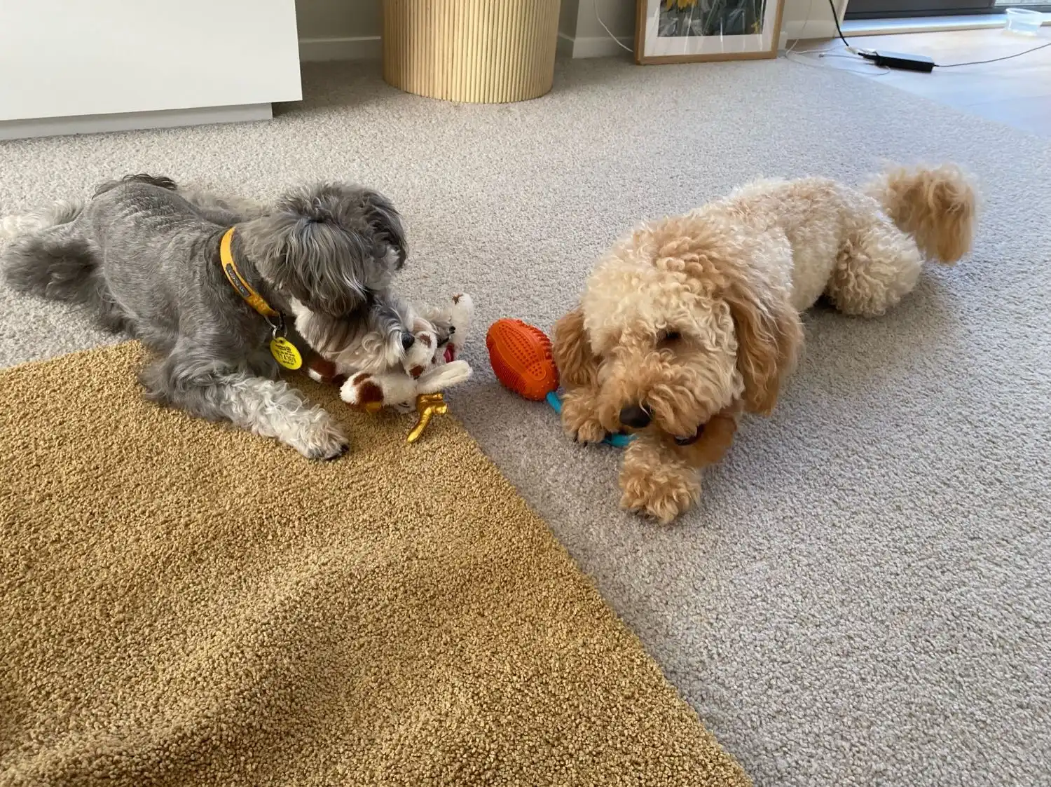 image-37