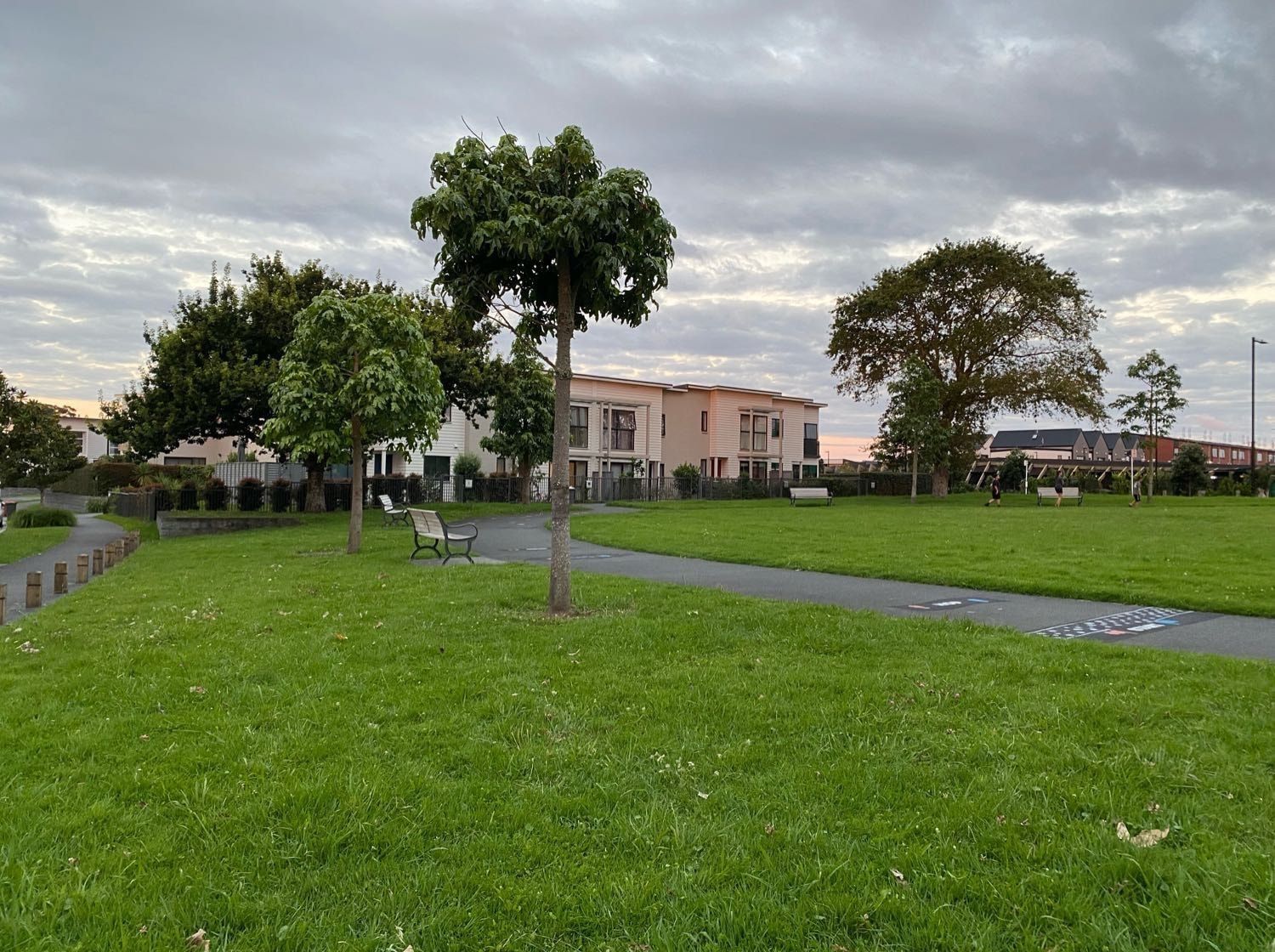 image-20