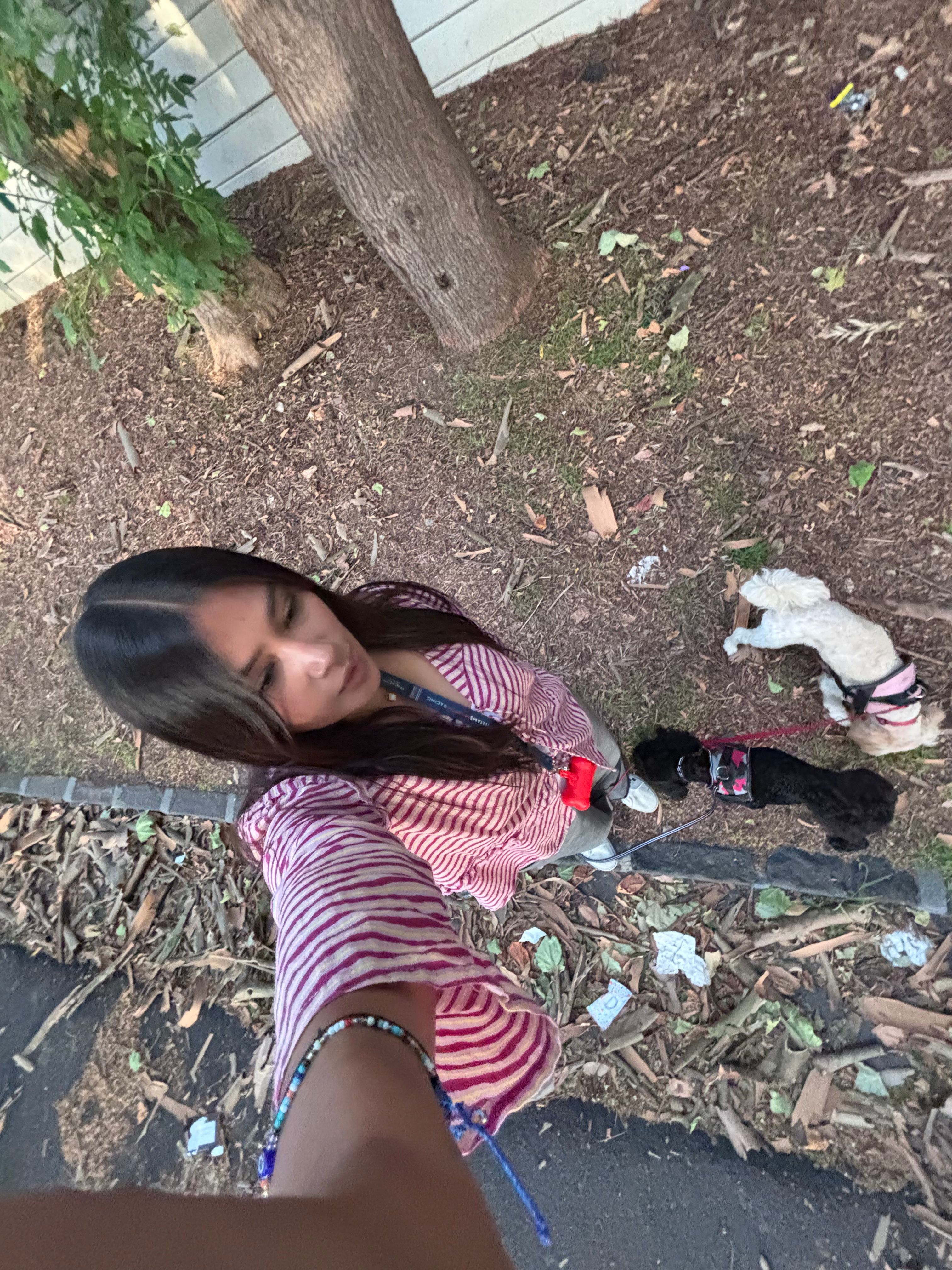 image-7