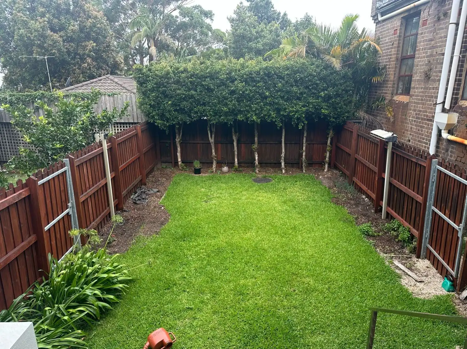 image-8