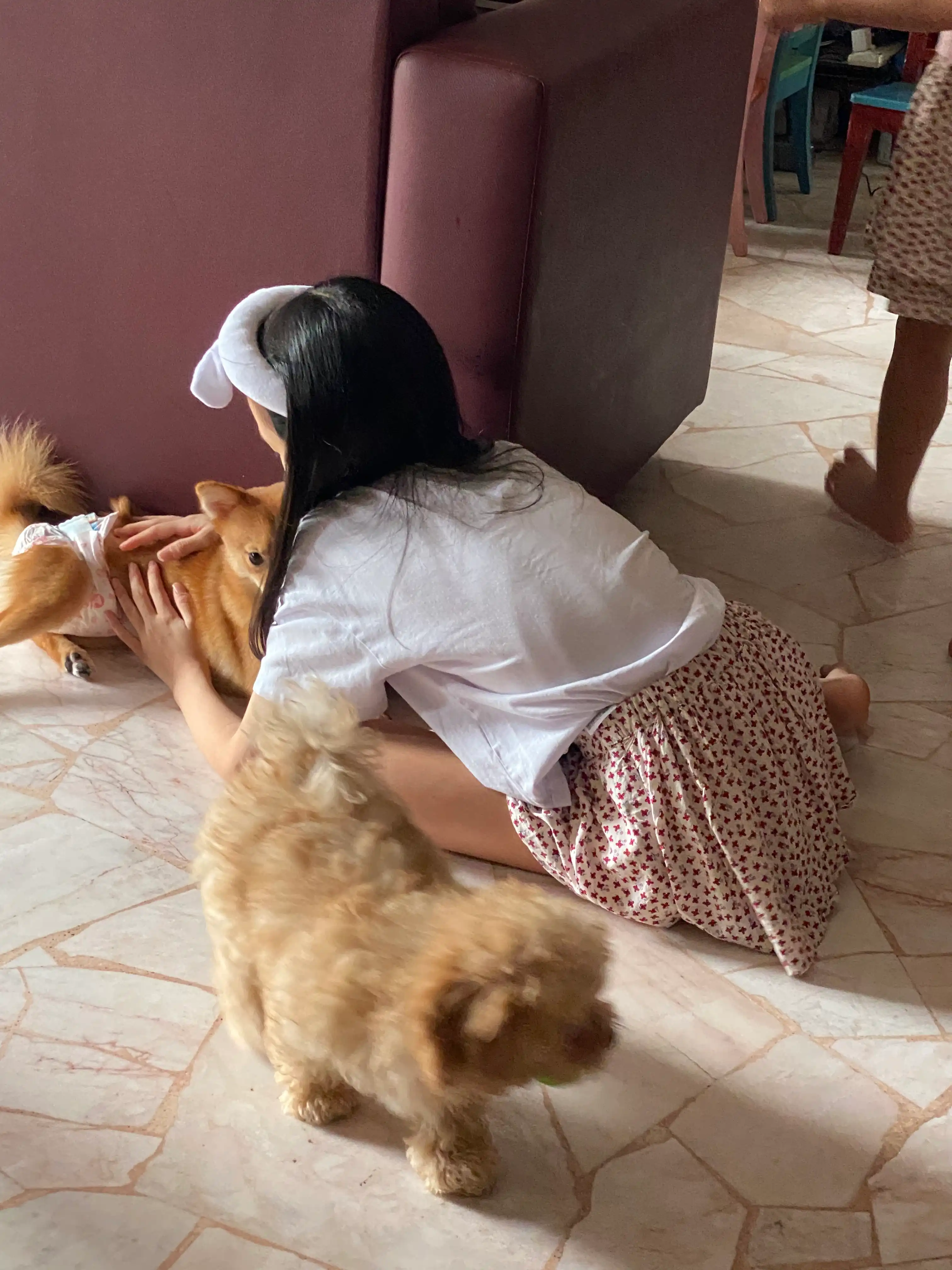 image-7