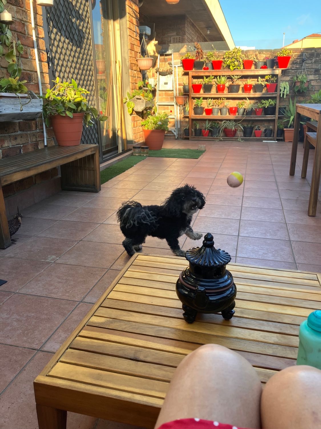image-12