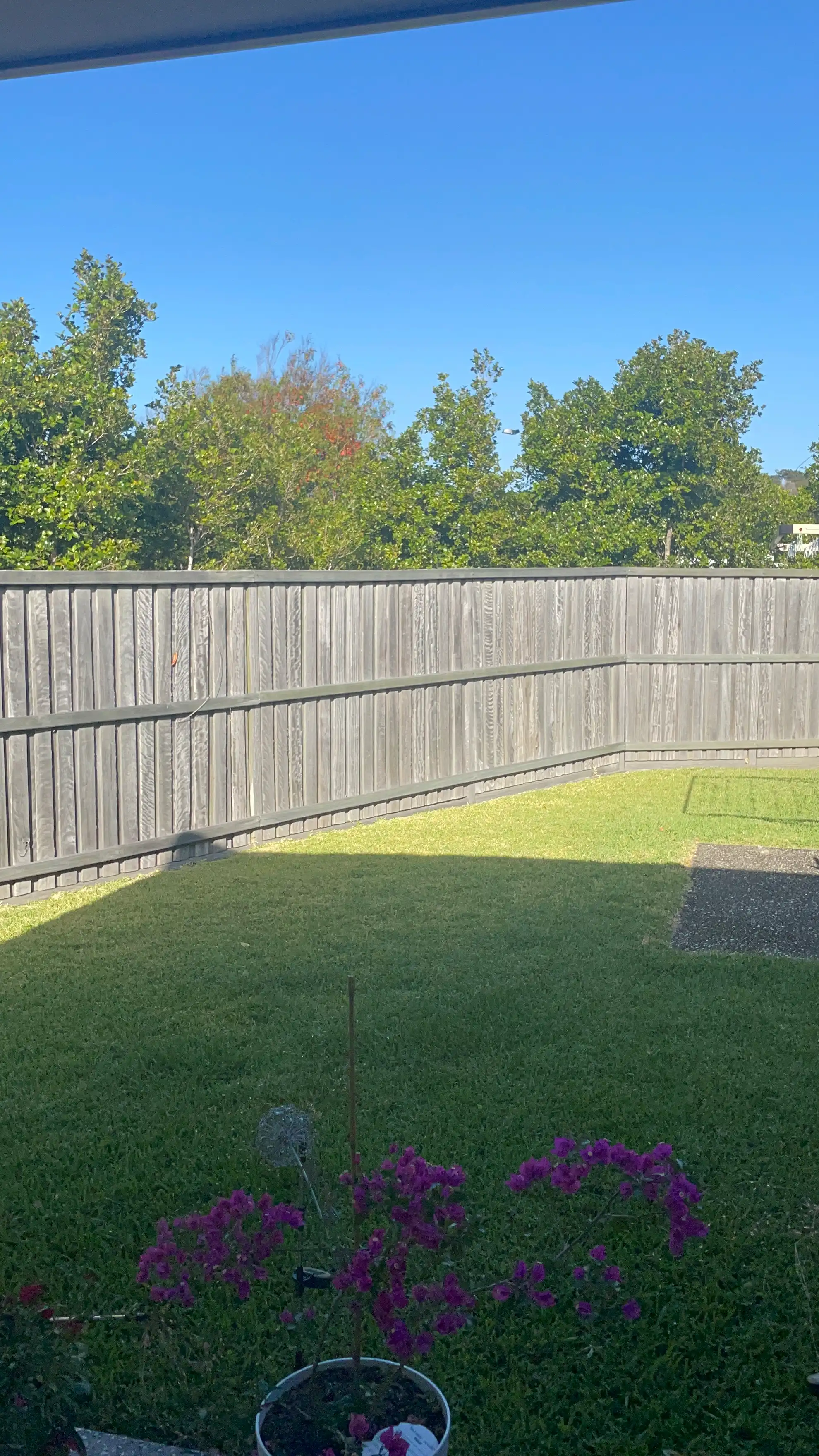 image-16