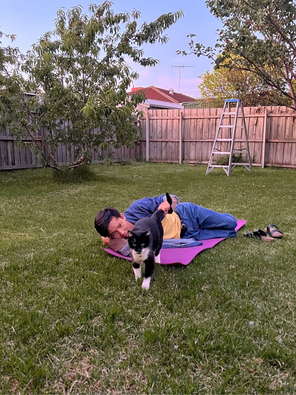 image-12