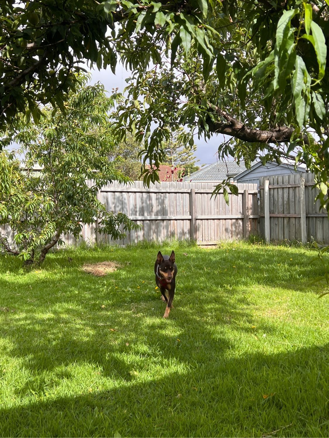 image-13