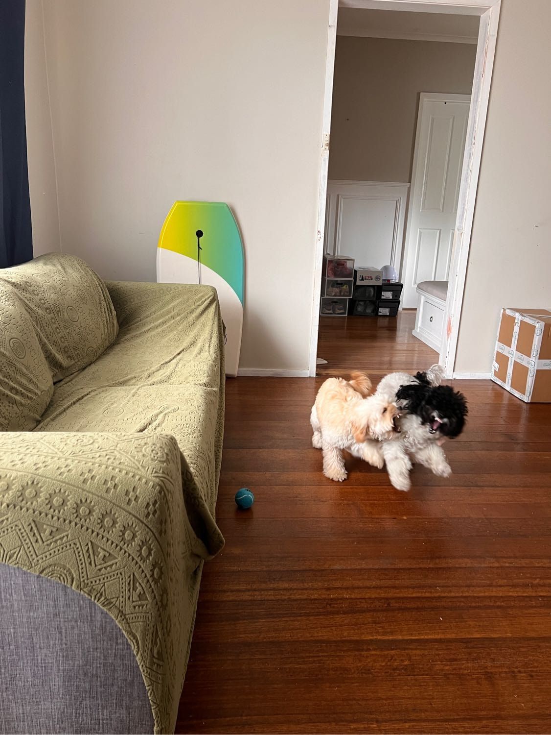image-15