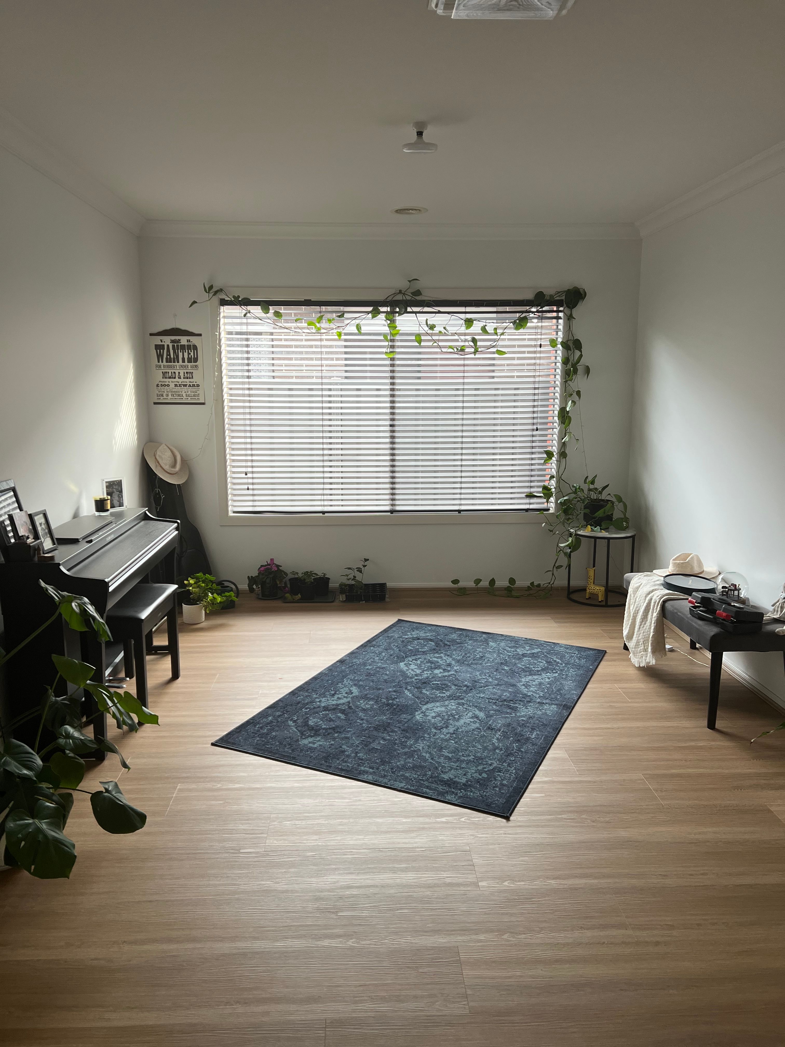 image-19