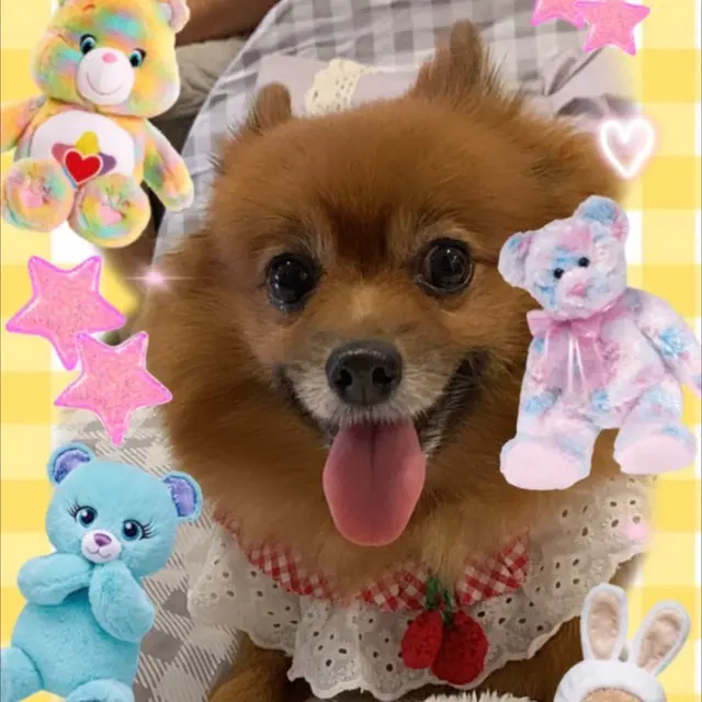 image-4