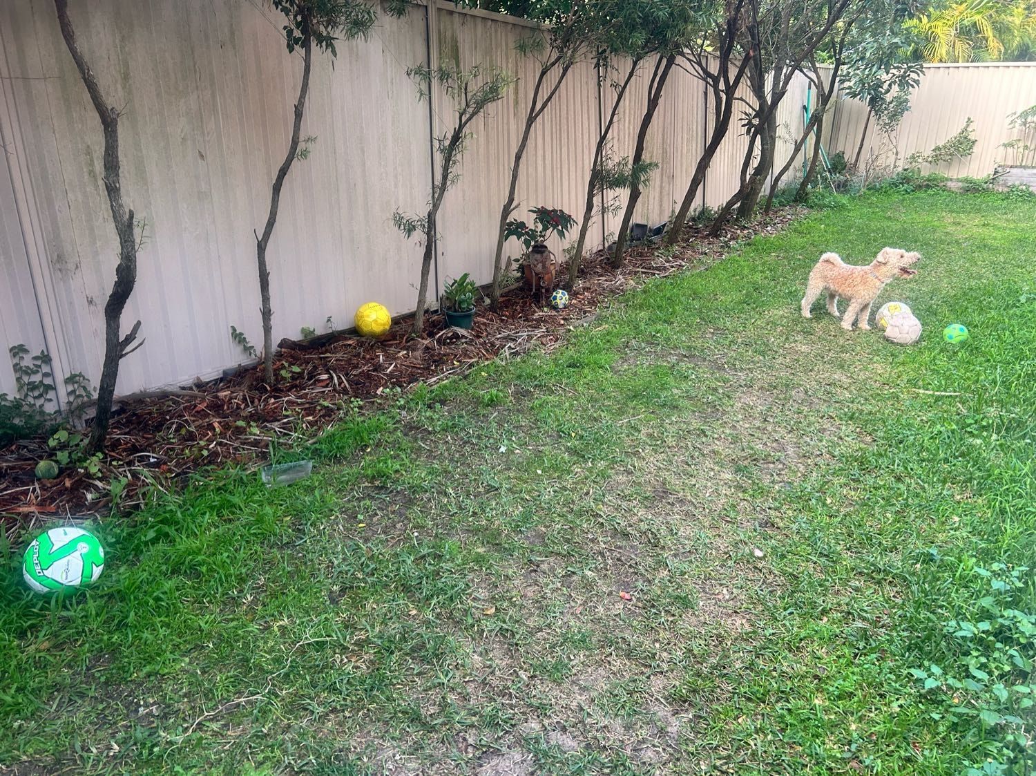 image-37